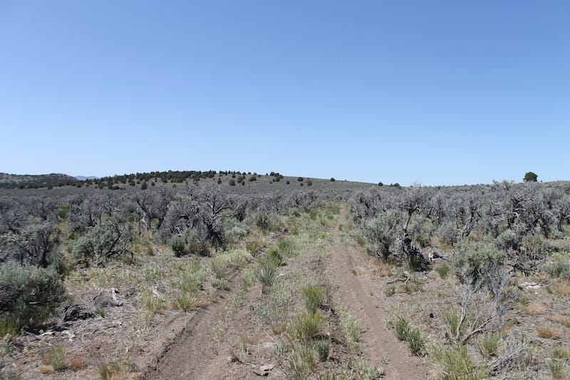 Moon Valley Ranch Tract 332 photo 1