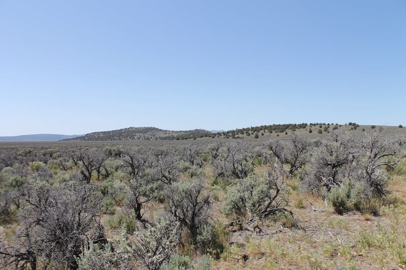 Moon Valley Ranch Tract 332 photo 4