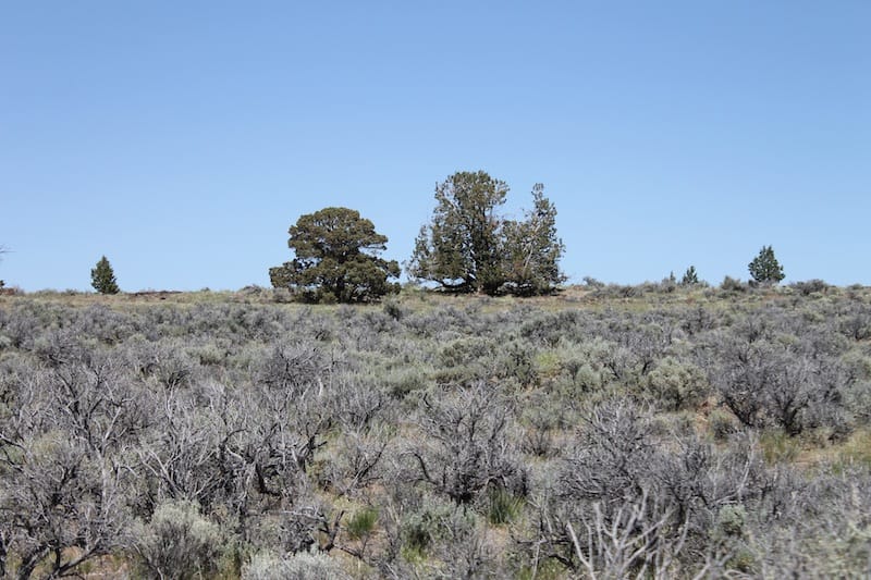 Moon Valley Ranch Tract 332 photo 6