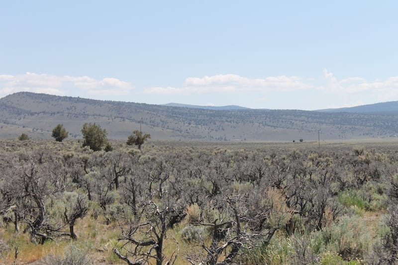 Moon Valley Ranch Tract 332 photo 7