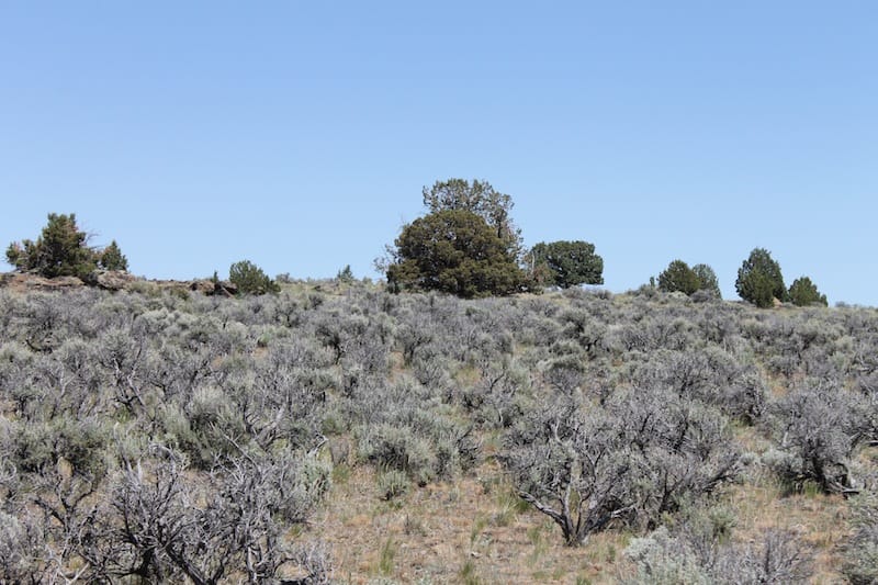 Moon Valley Ranch Tract 332 photo 12