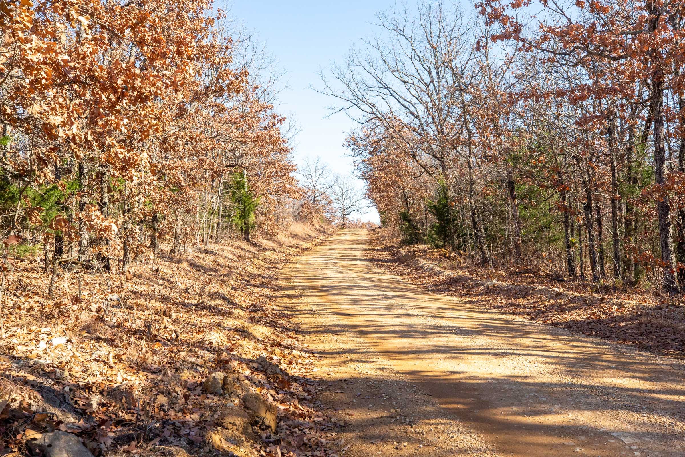 Dutchman Hollow Tract 1 photo 1