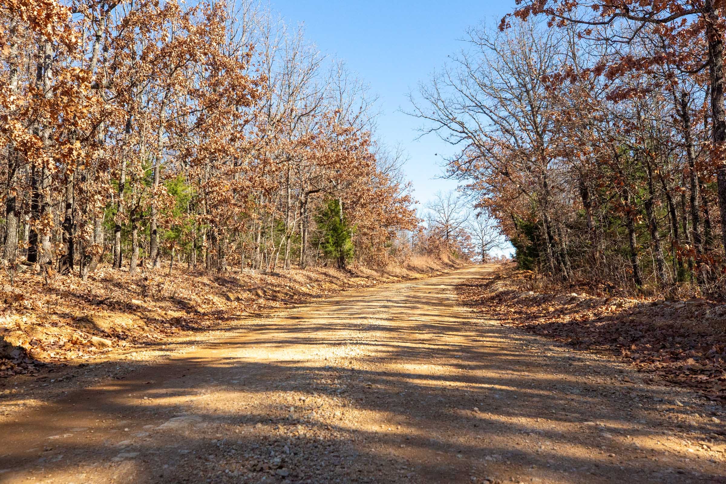 Dutchman Hollow Tract 1 photo 12