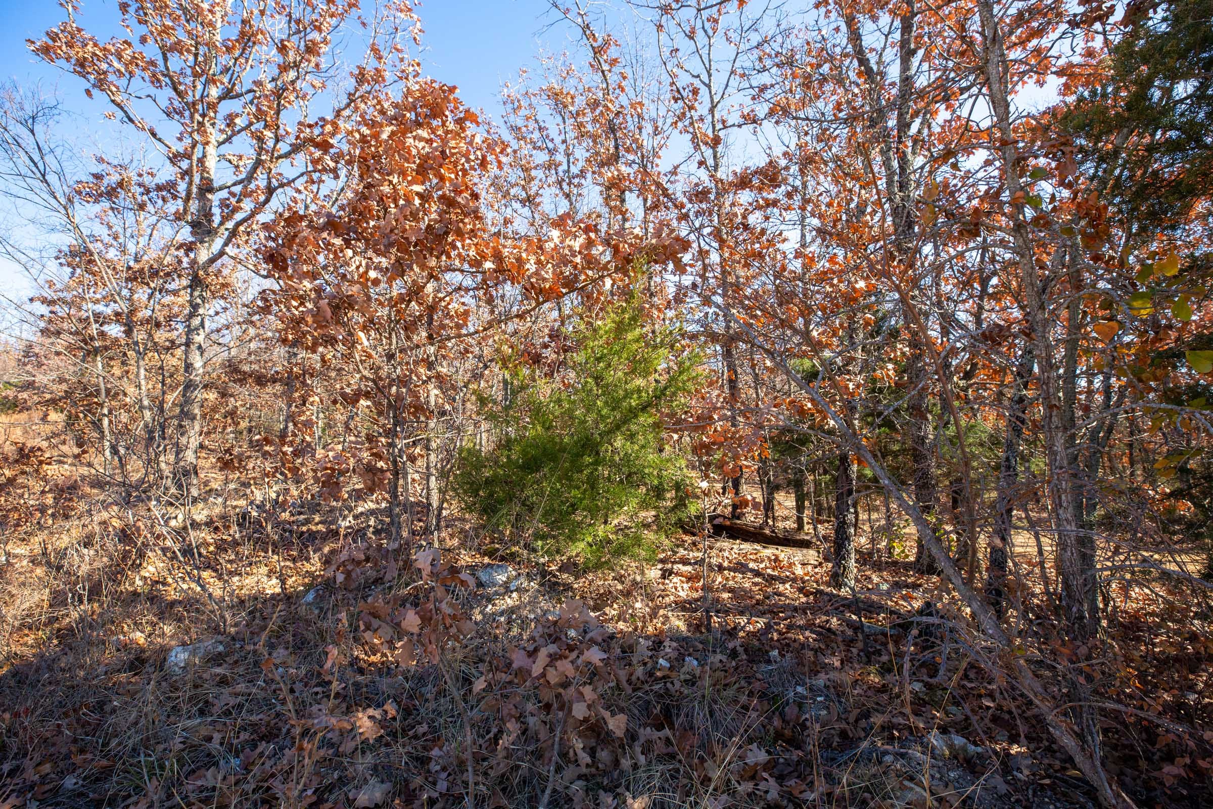 Dutchman Hollow Tract 1 photo 2