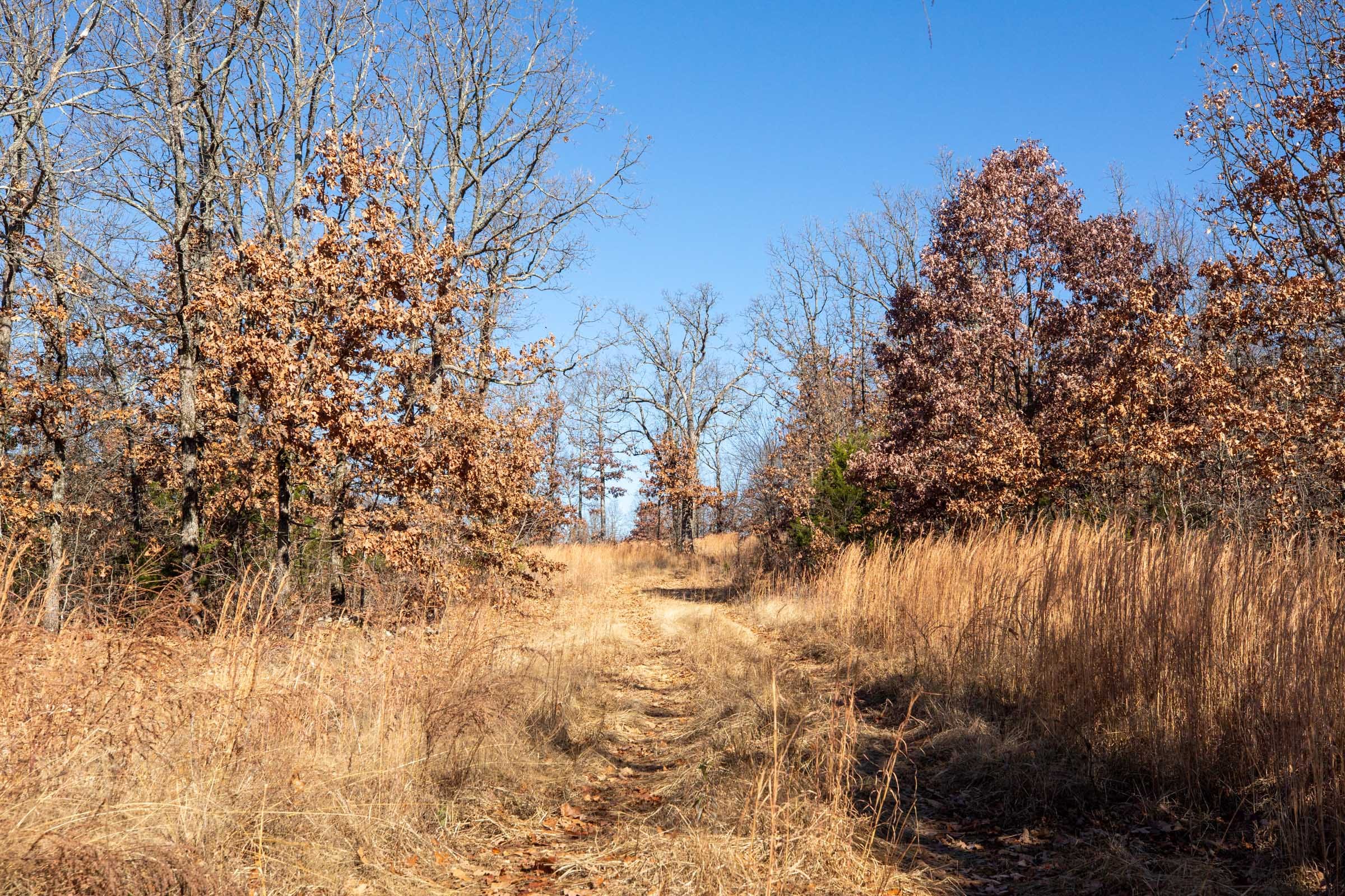 Dutchman Hollow Tract 1 photo 4