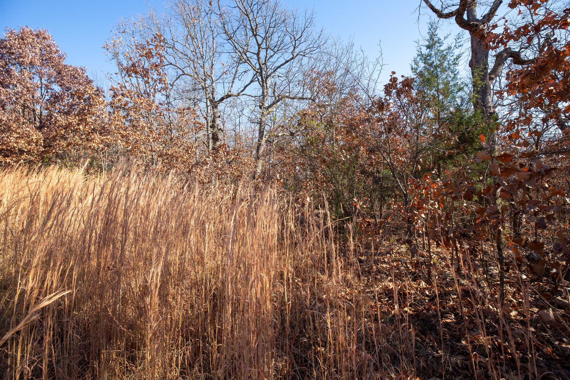 Dutchman Hollow Tract 1 photo 9