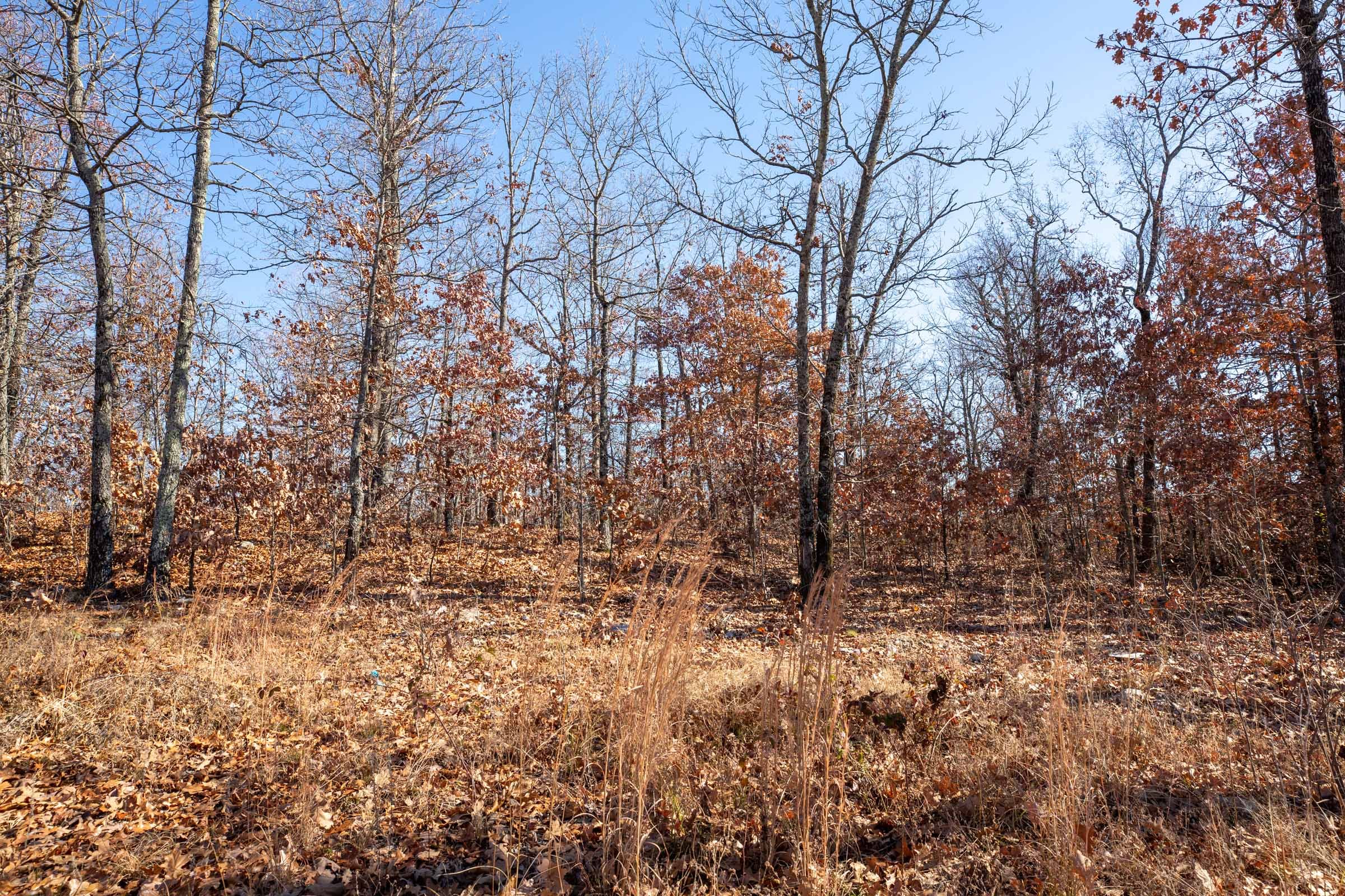 Dutchman Hollow Tract 1 photo 6