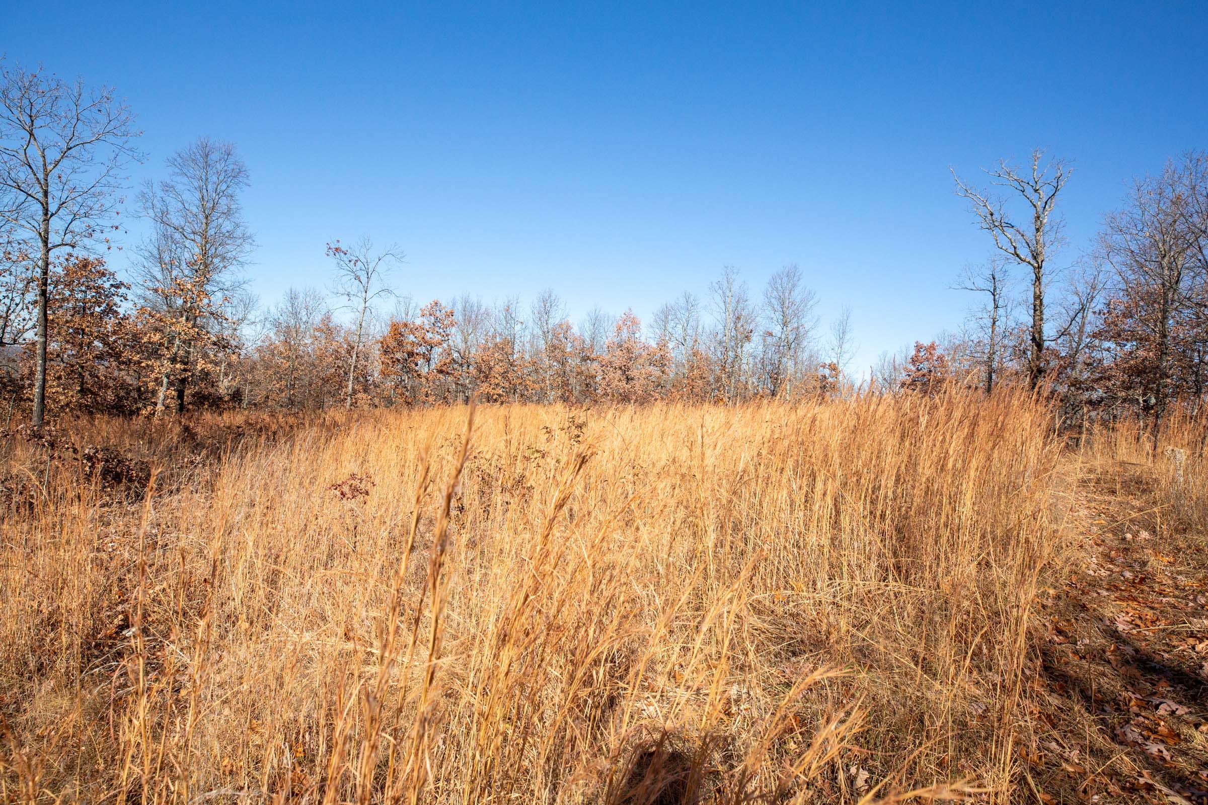 Dutchman Hollow Tract 1 photo 7