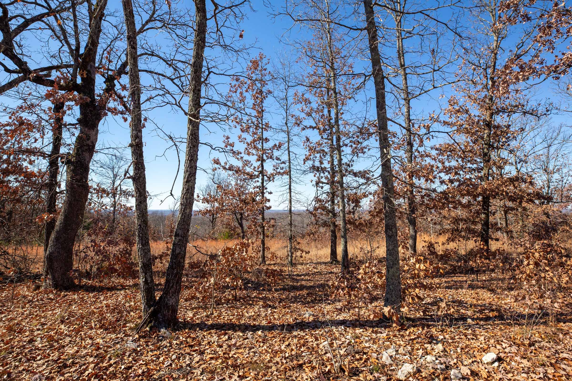 Dutchman Hollow Tract 1 photo 10