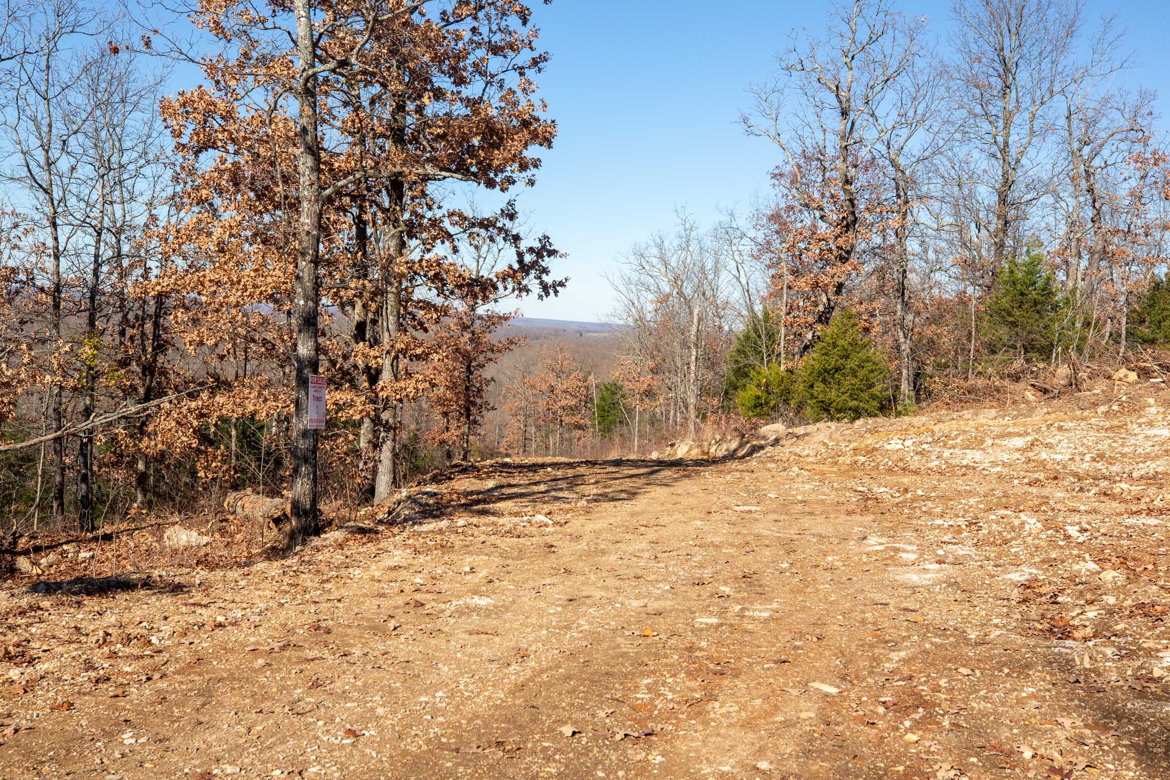 Dutchman Hollow Tract 1 photo 8