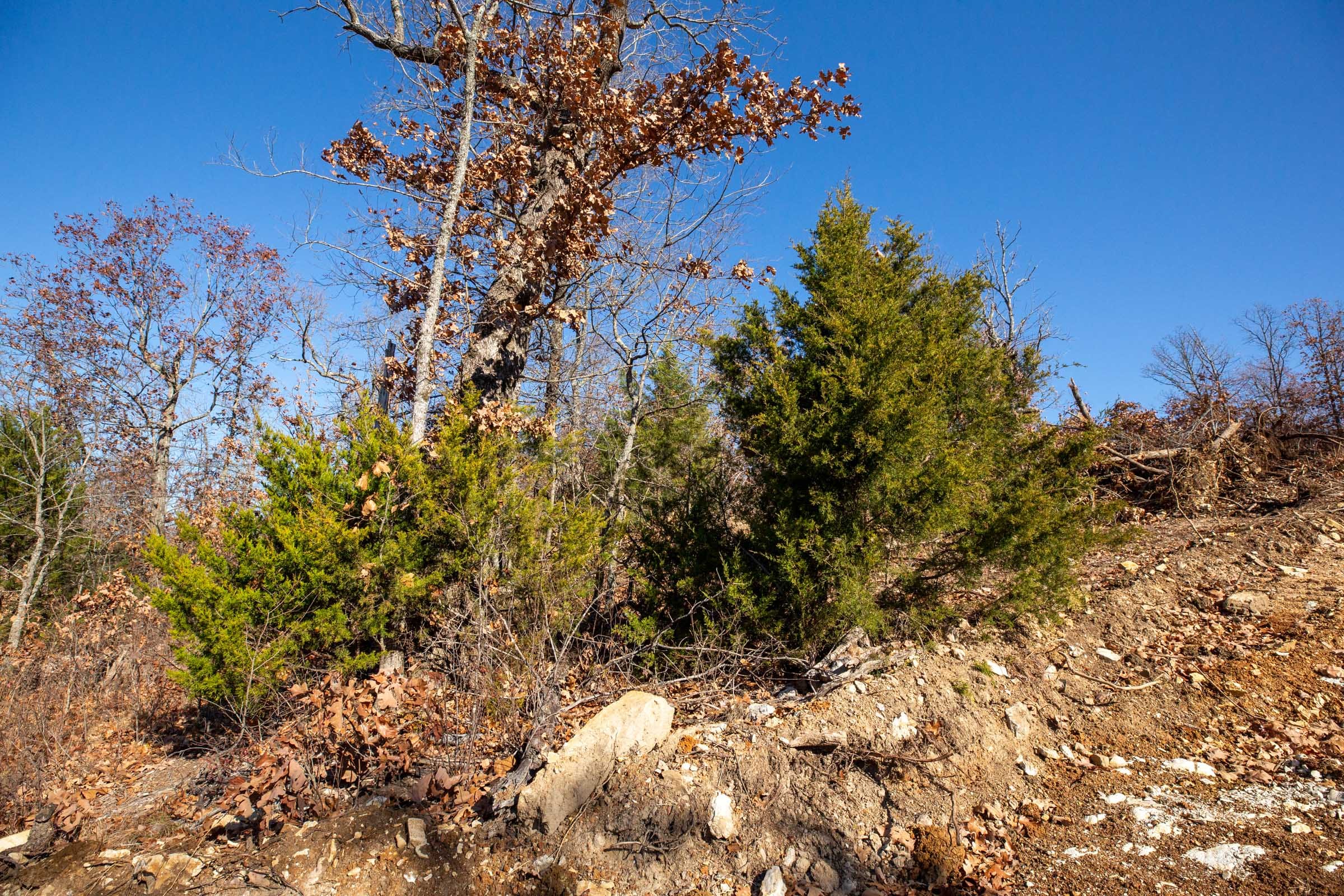 Dutchman Hollow Tract 1 photo 13