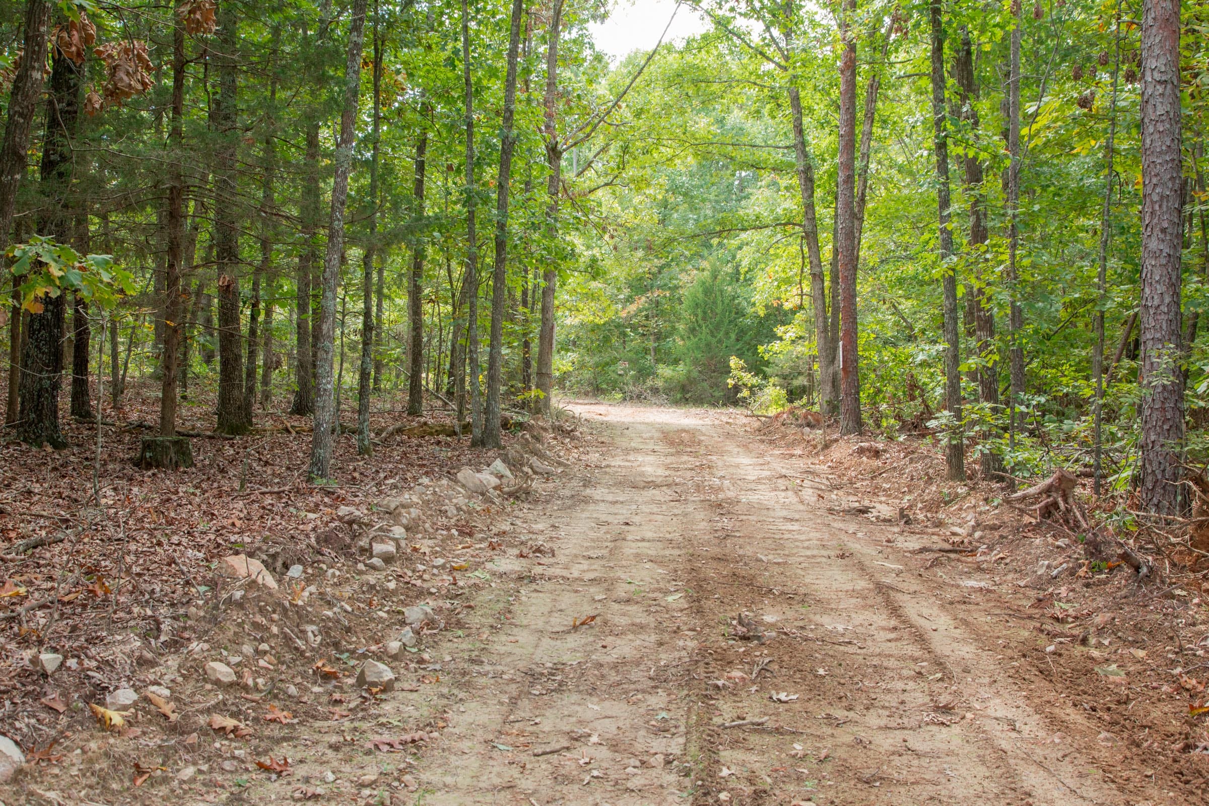 Wagon Wheel Ranch Tract 55 photo 4