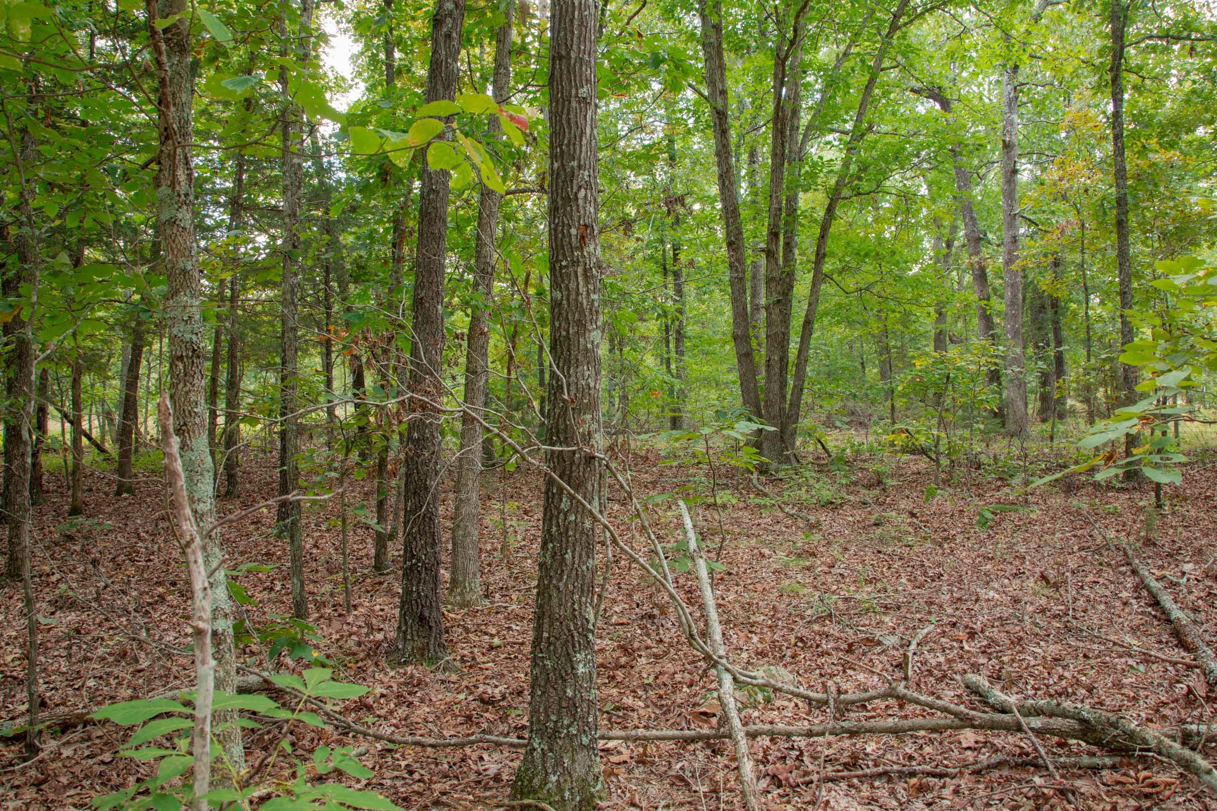 Wagon Wheel Ranch Tract 55 photo 6