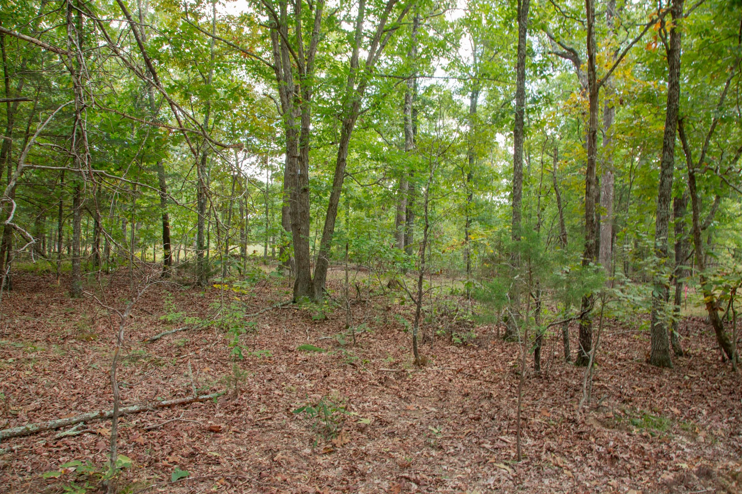 Wagon Wheel Ranch Tract 55 photo 8
