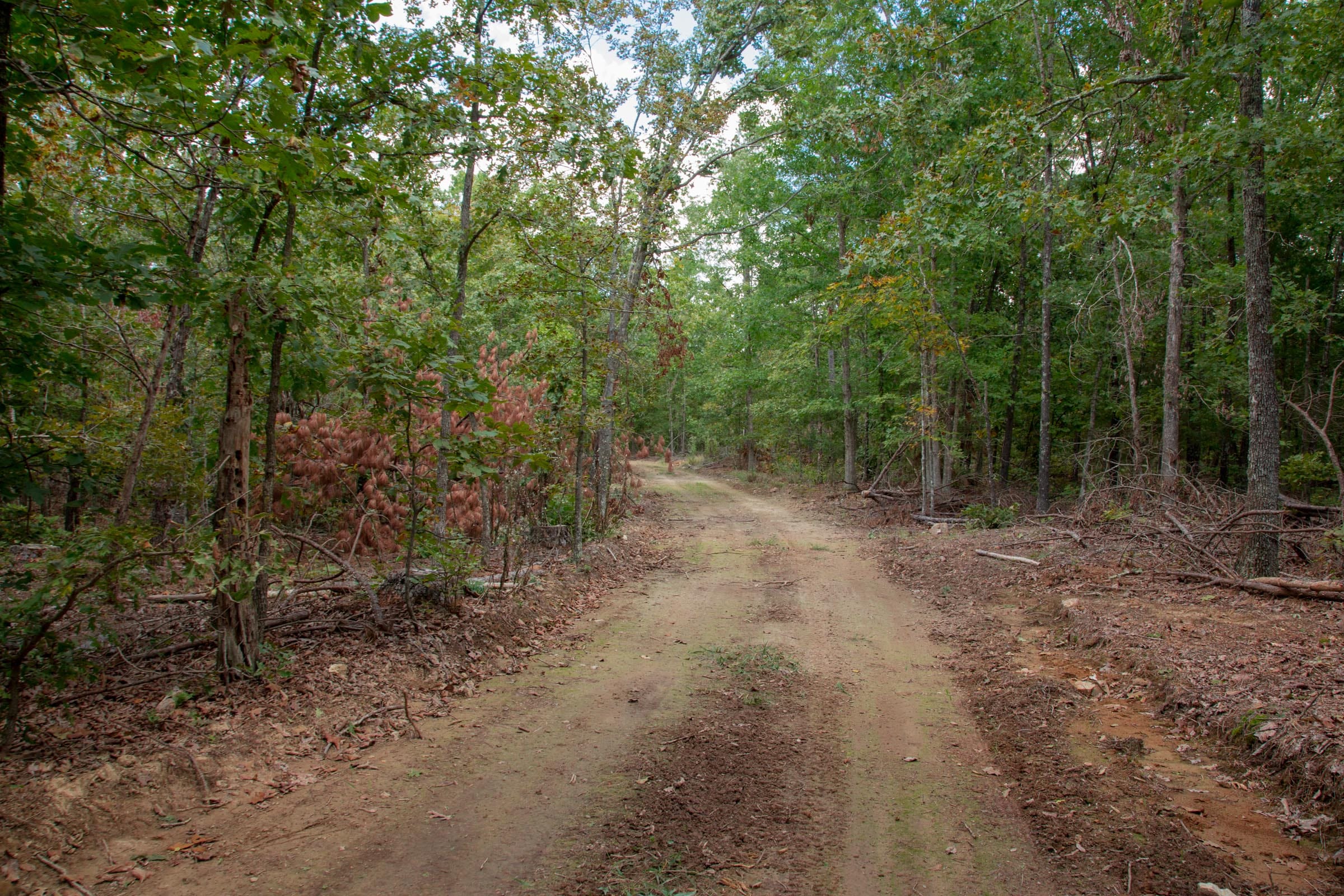 Wagon Wheel Ranch Tract 55 photo 10