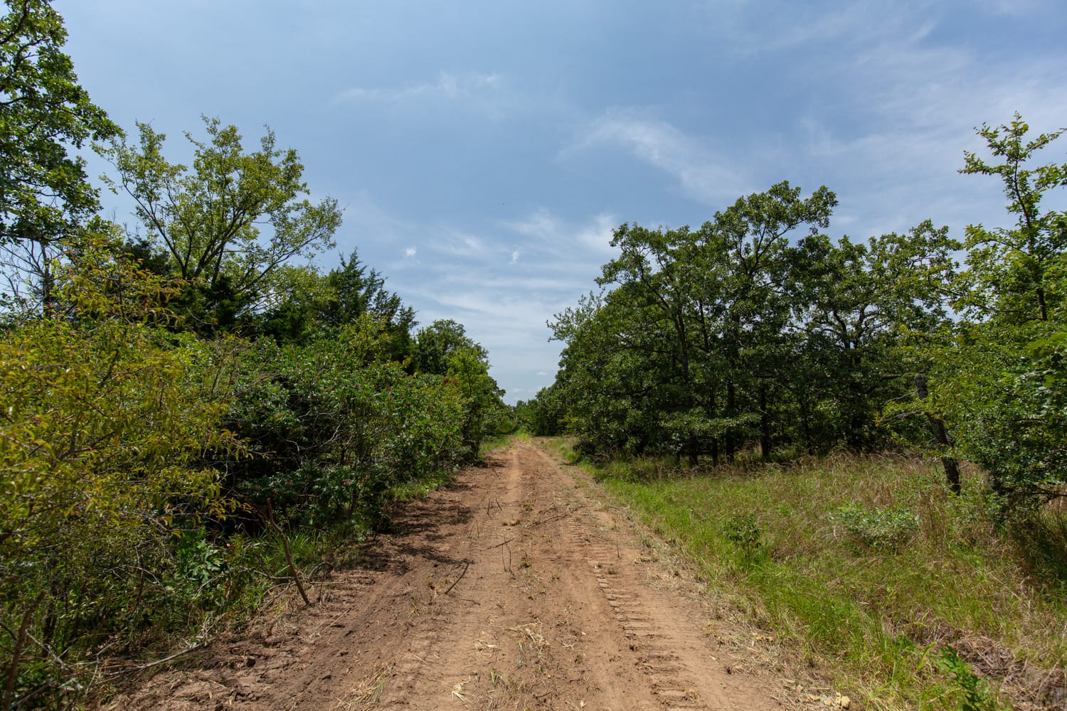 Timber Ridge Tract 61 photo 1
