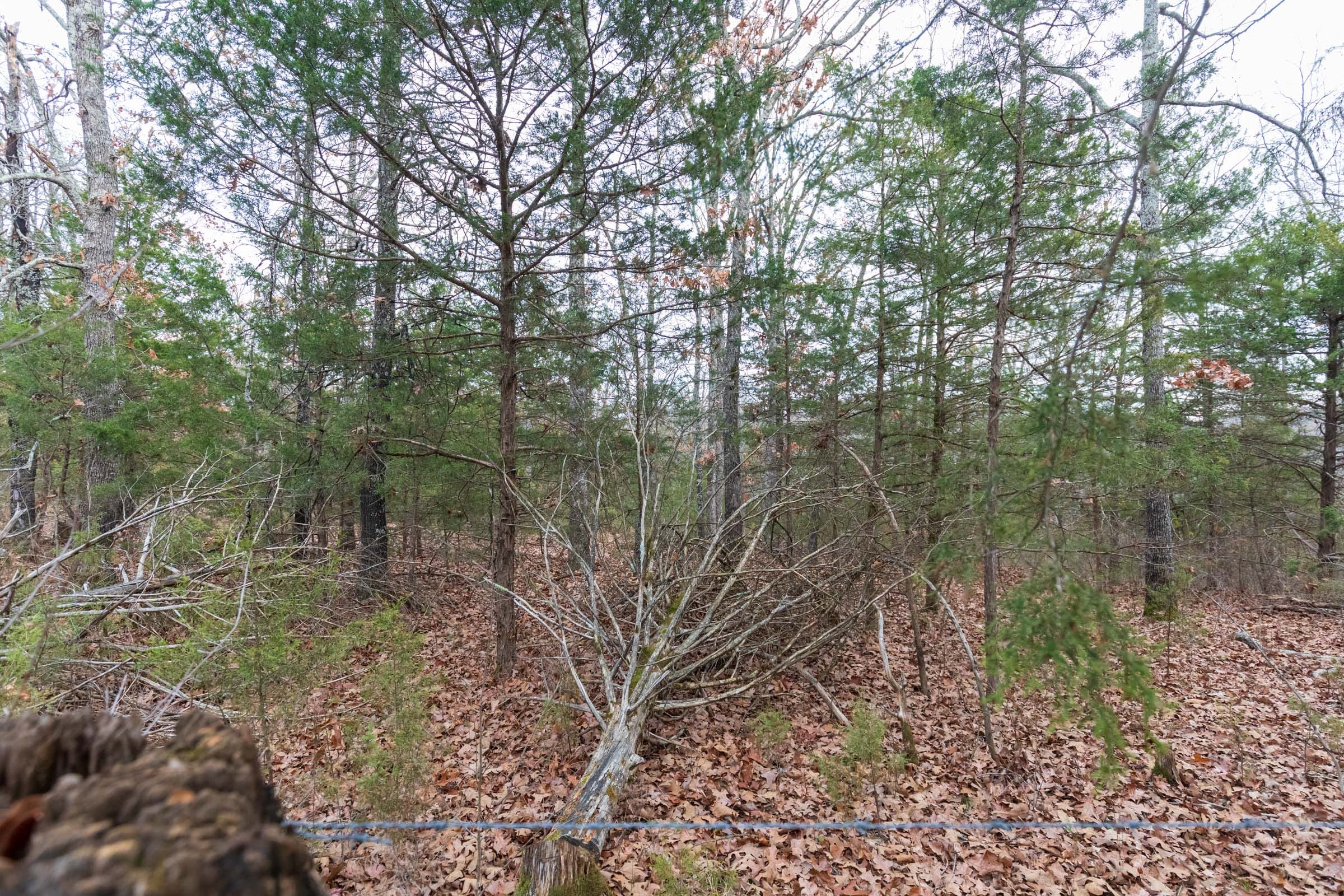 Crossroads Tract 7 photo 3