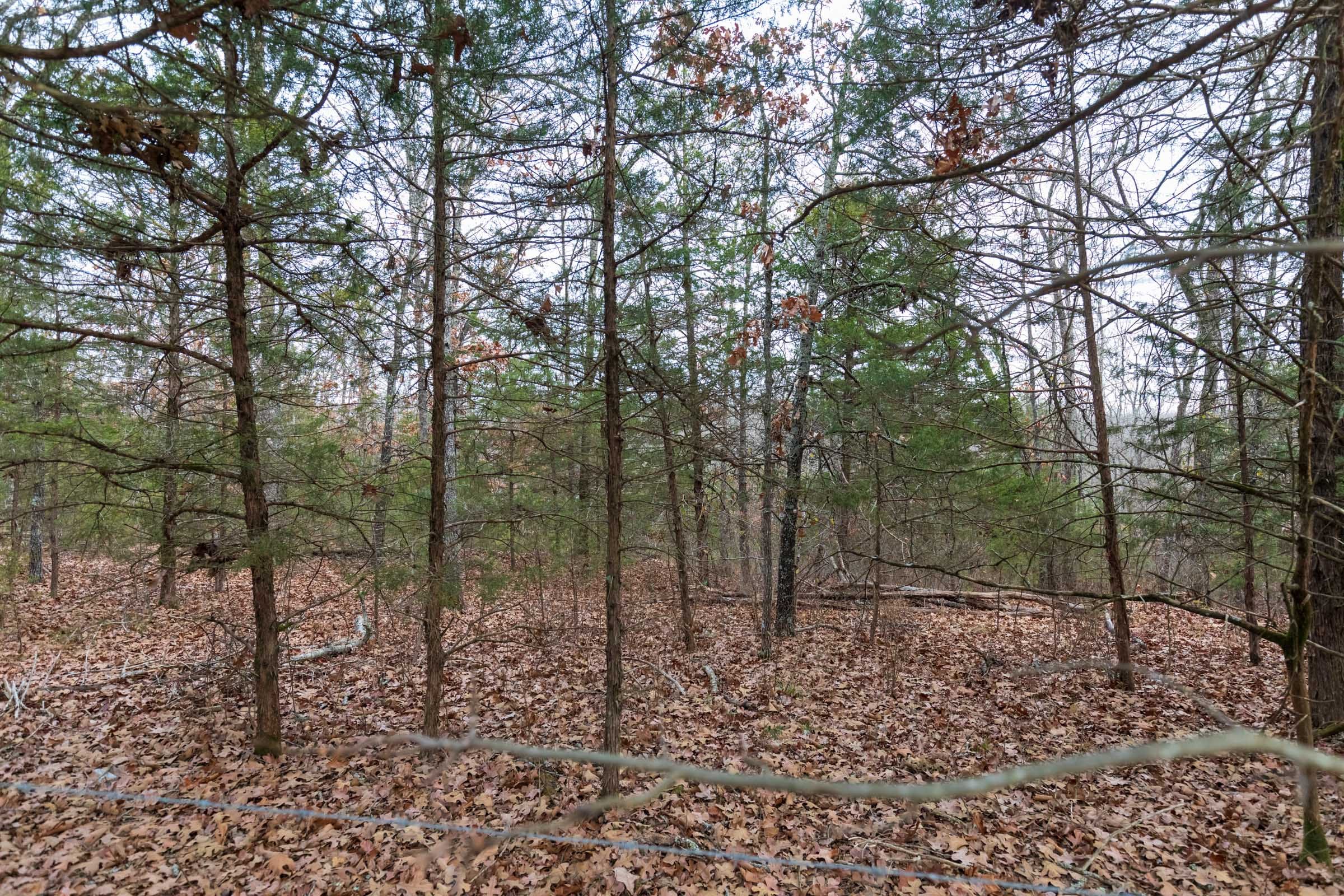 Crossroads Tract 7 photo 5