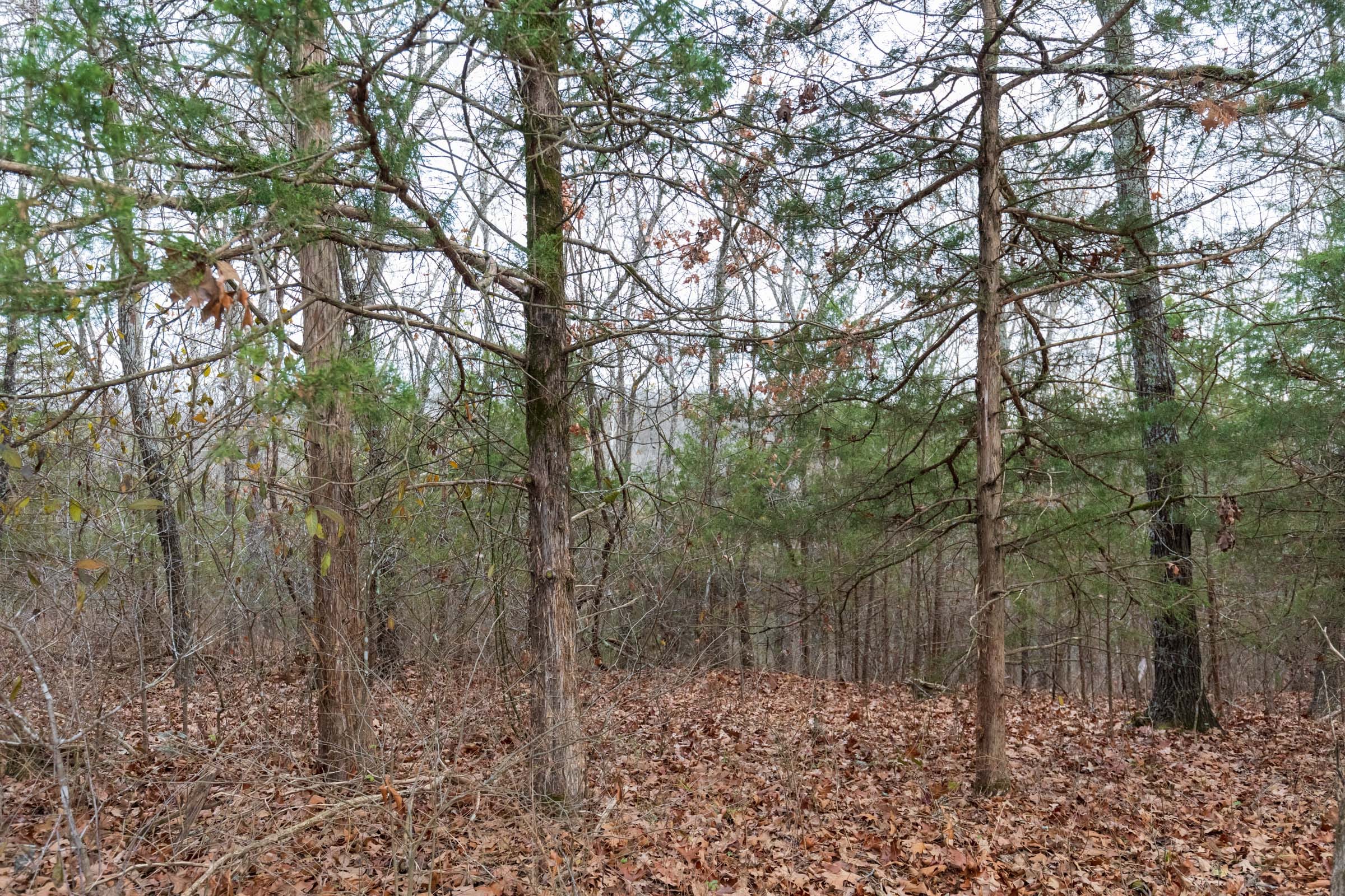 Crossroads Tract 7 photo 6