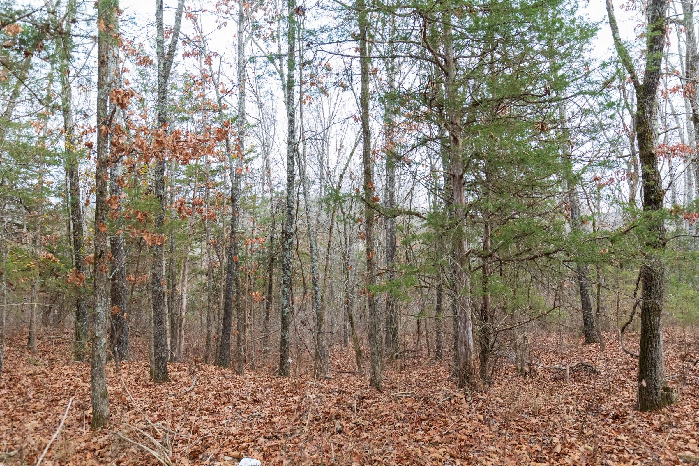 Crossroads Tract 7 photo 8