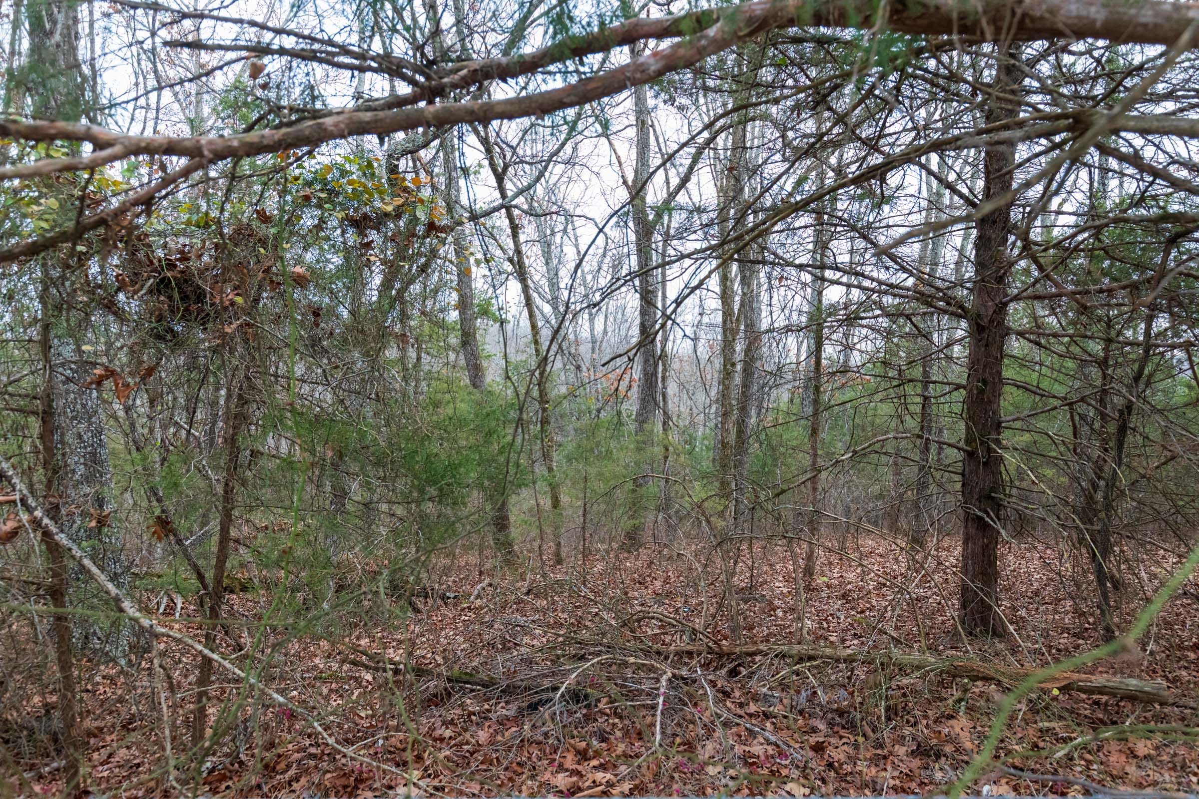 Crossroads Tract 7 photo 9