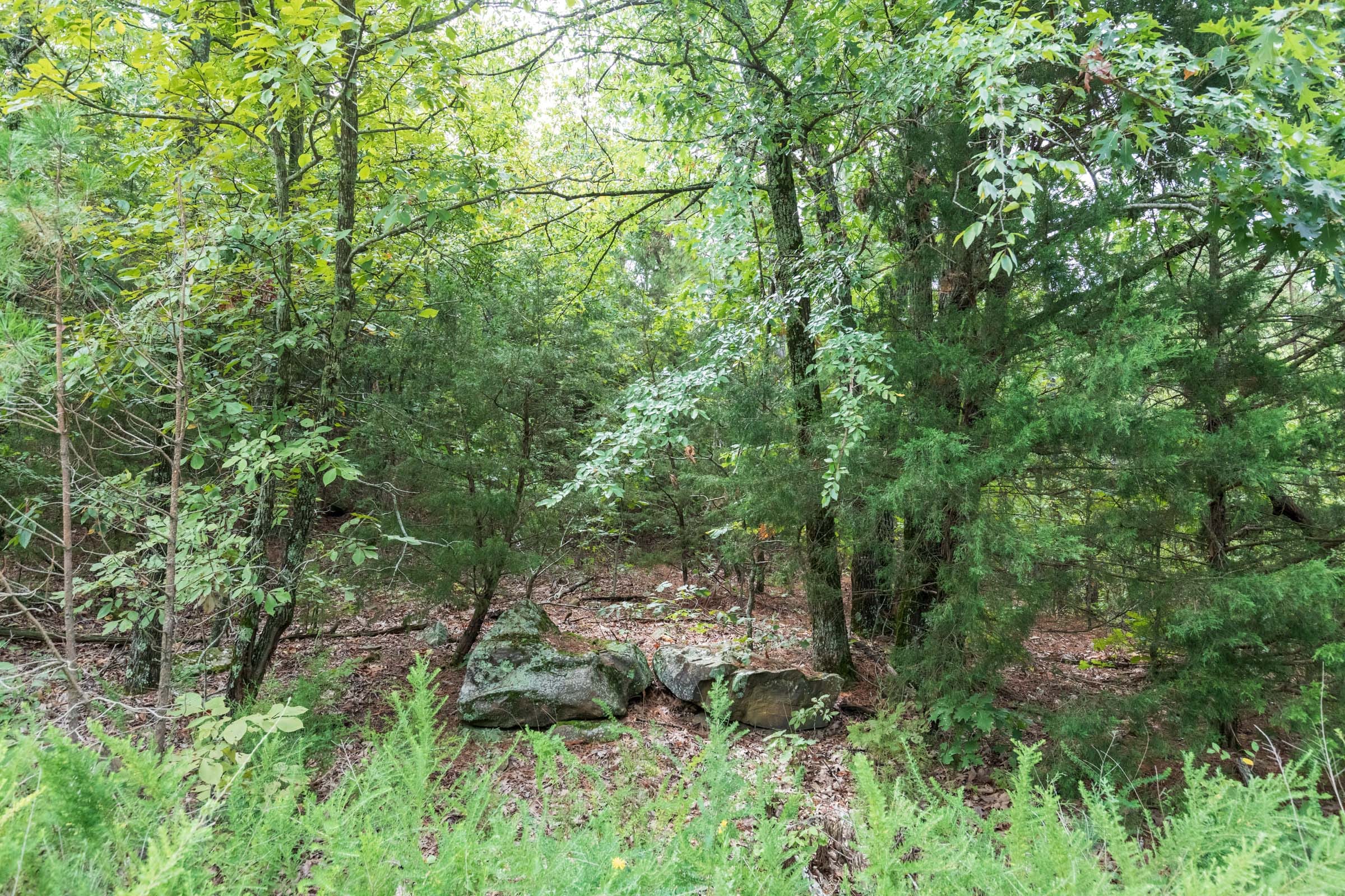 Stone Bridge Phase V Tract 336 photo 2