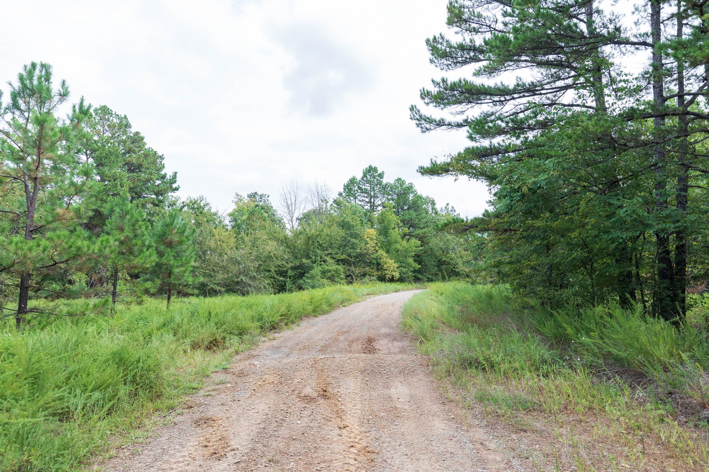 Stone Bridge Phase V Tract 336 photo 1