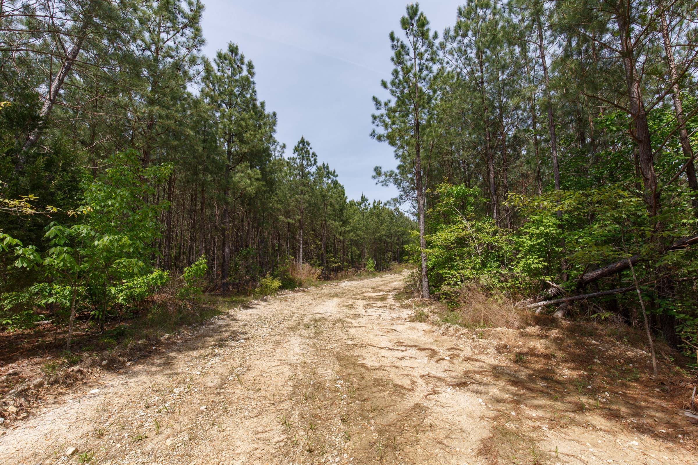 Red Barn Ranch Tract 56 photo 1