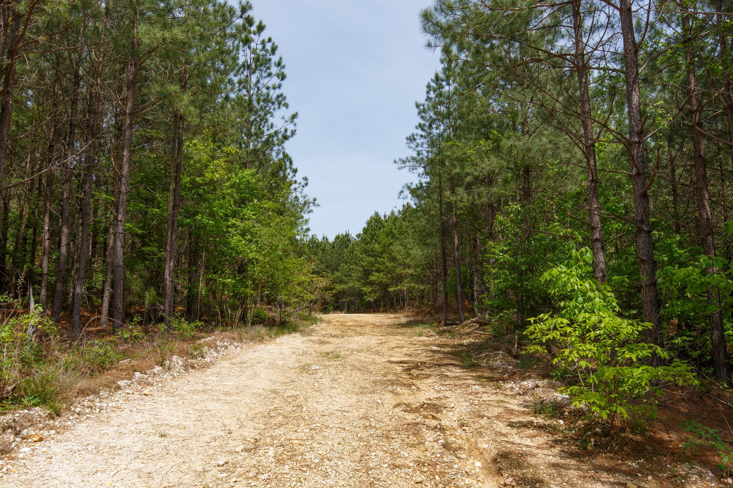 Red Barn Ranch Tract 56 photo 4