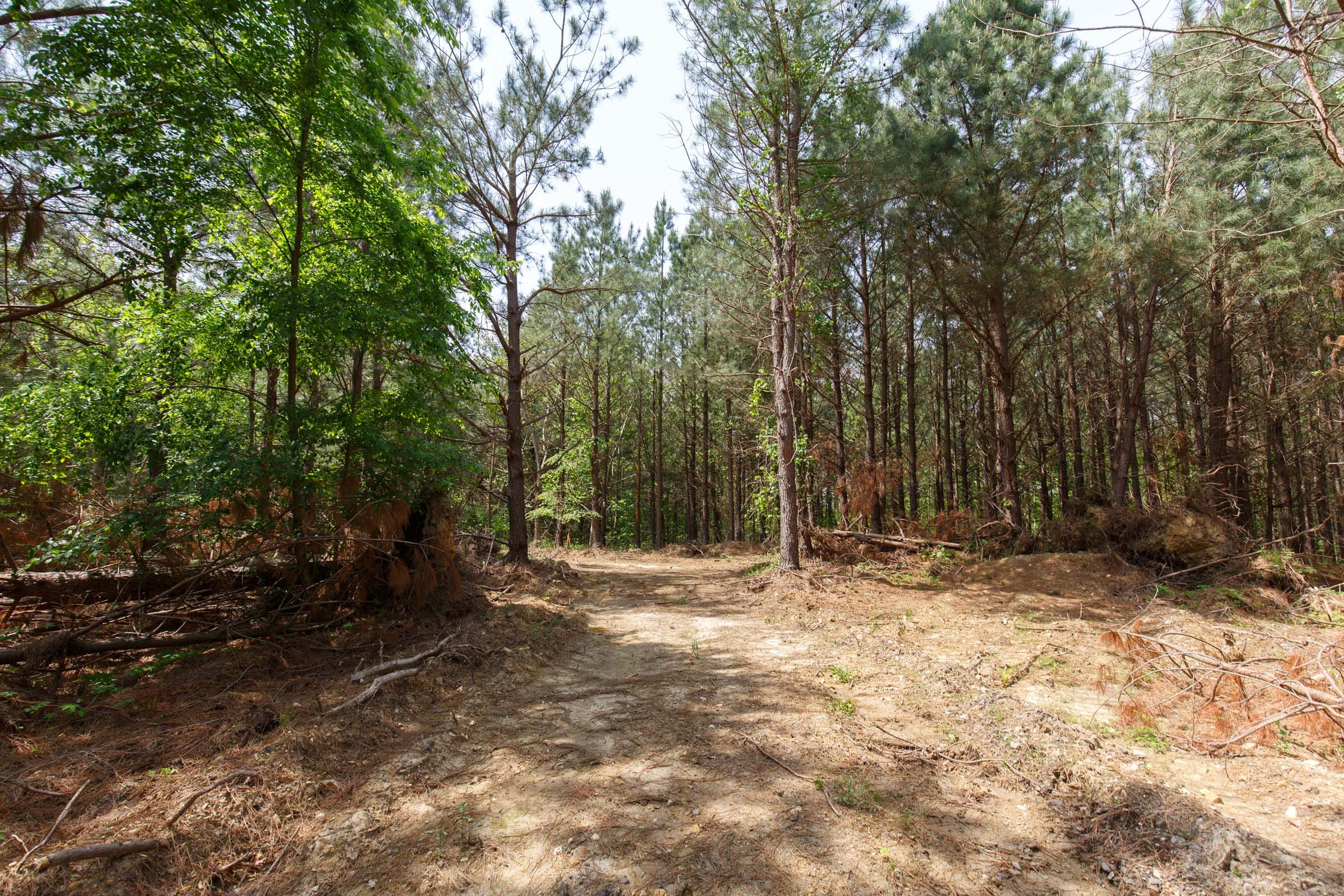 Red Barn Ranch Tract 56 photo 10
