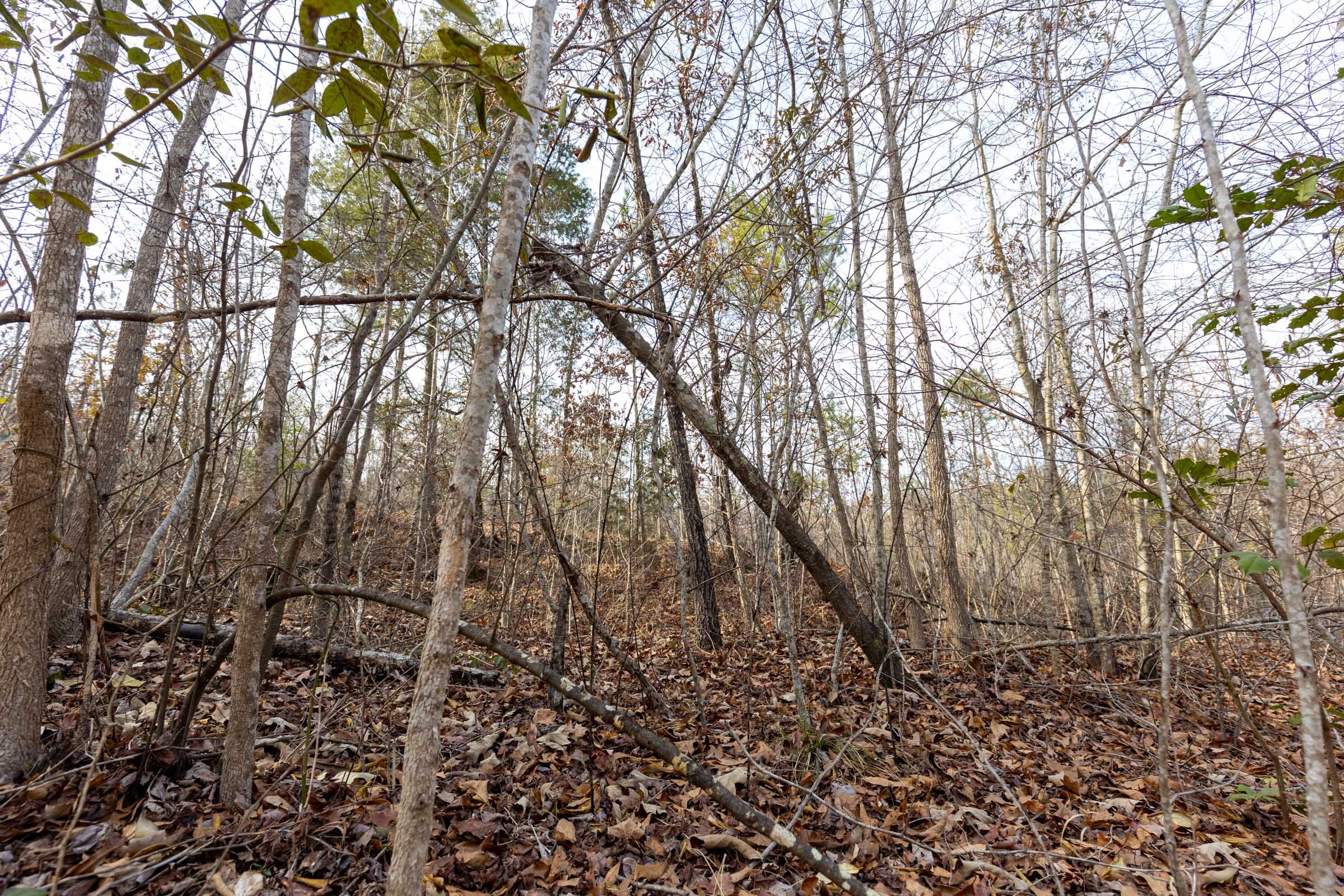 Baker Creek Tract 8 photo 1