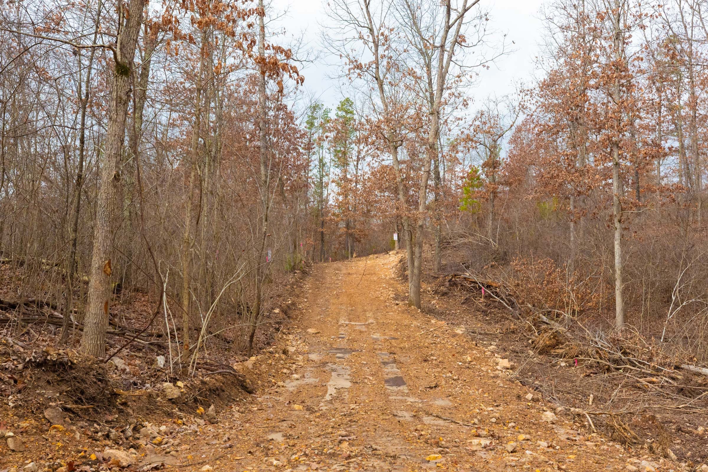 Windy Ridge Tract 9 photo 1