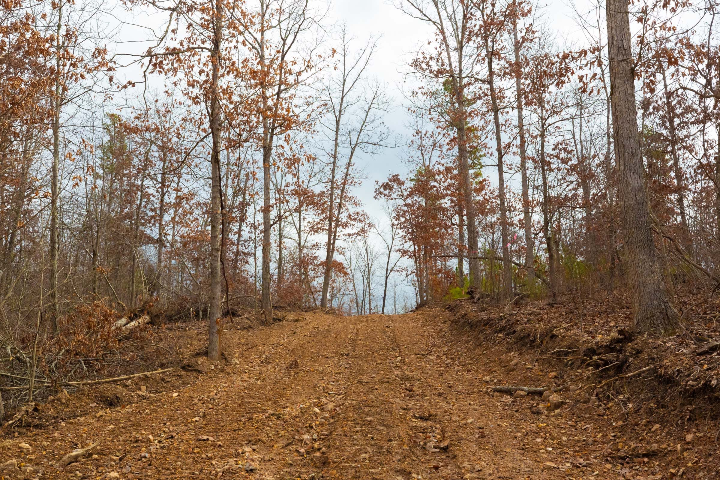 Windy Ridge Tract 9 photo 8