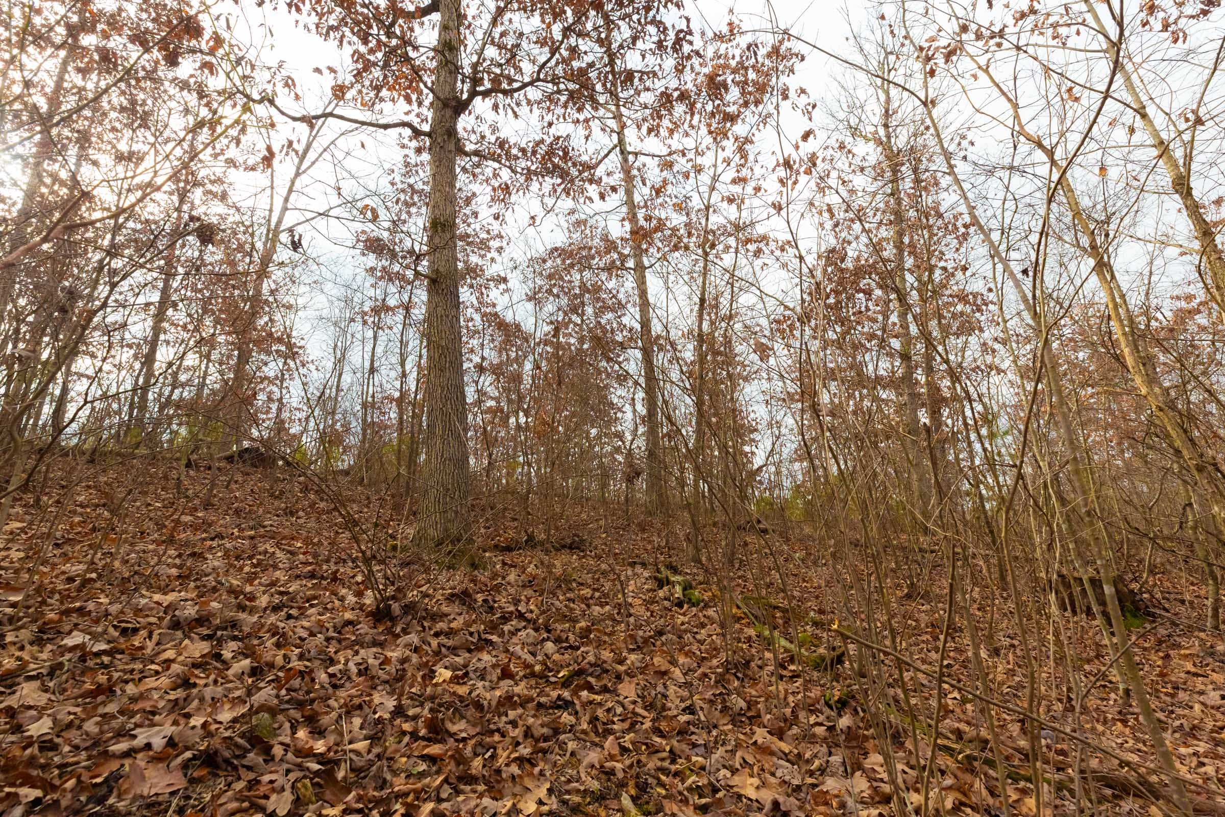 Windy Ridge Tract 9 photo 2