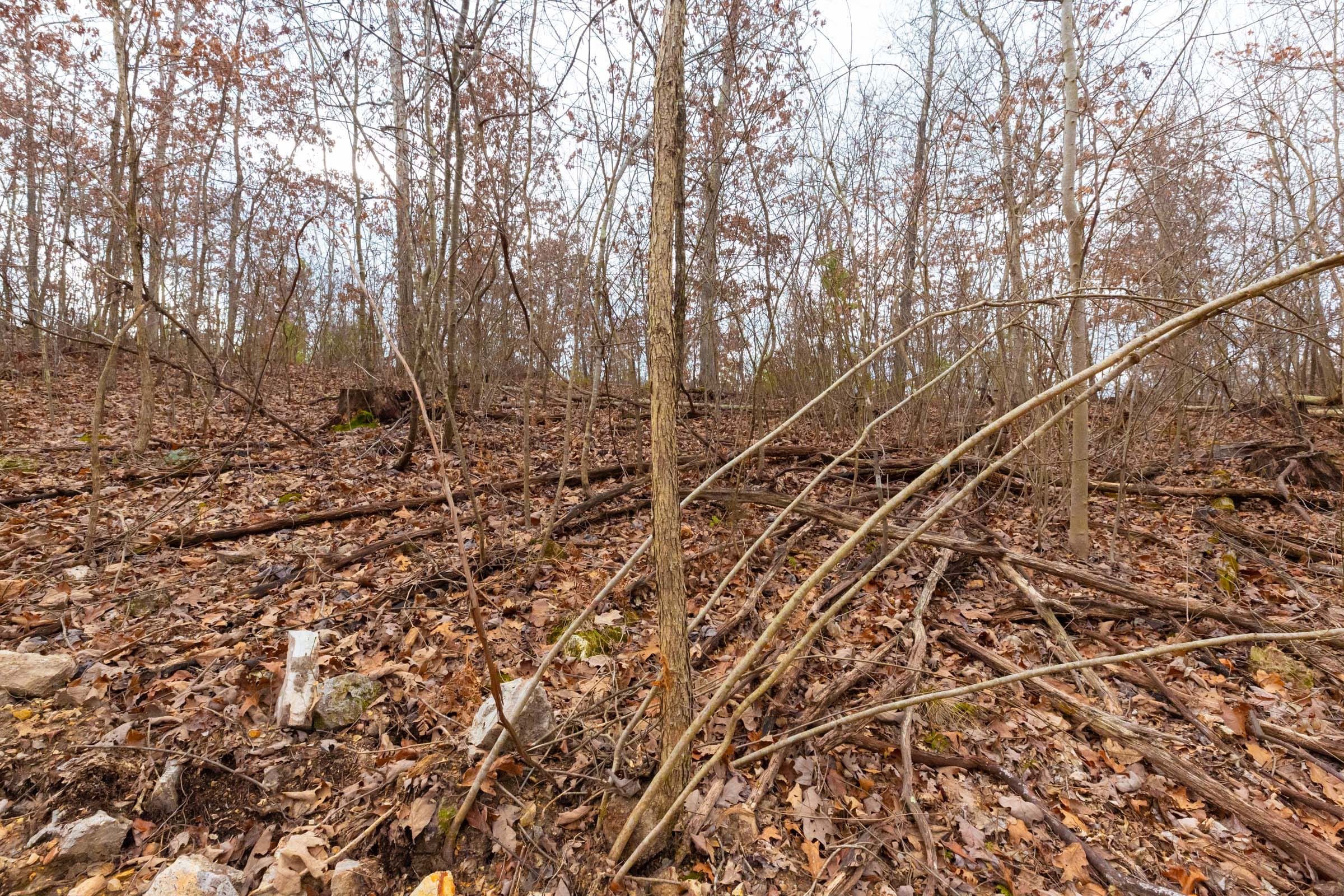 Windy Ridge Tract 9 photo 4
