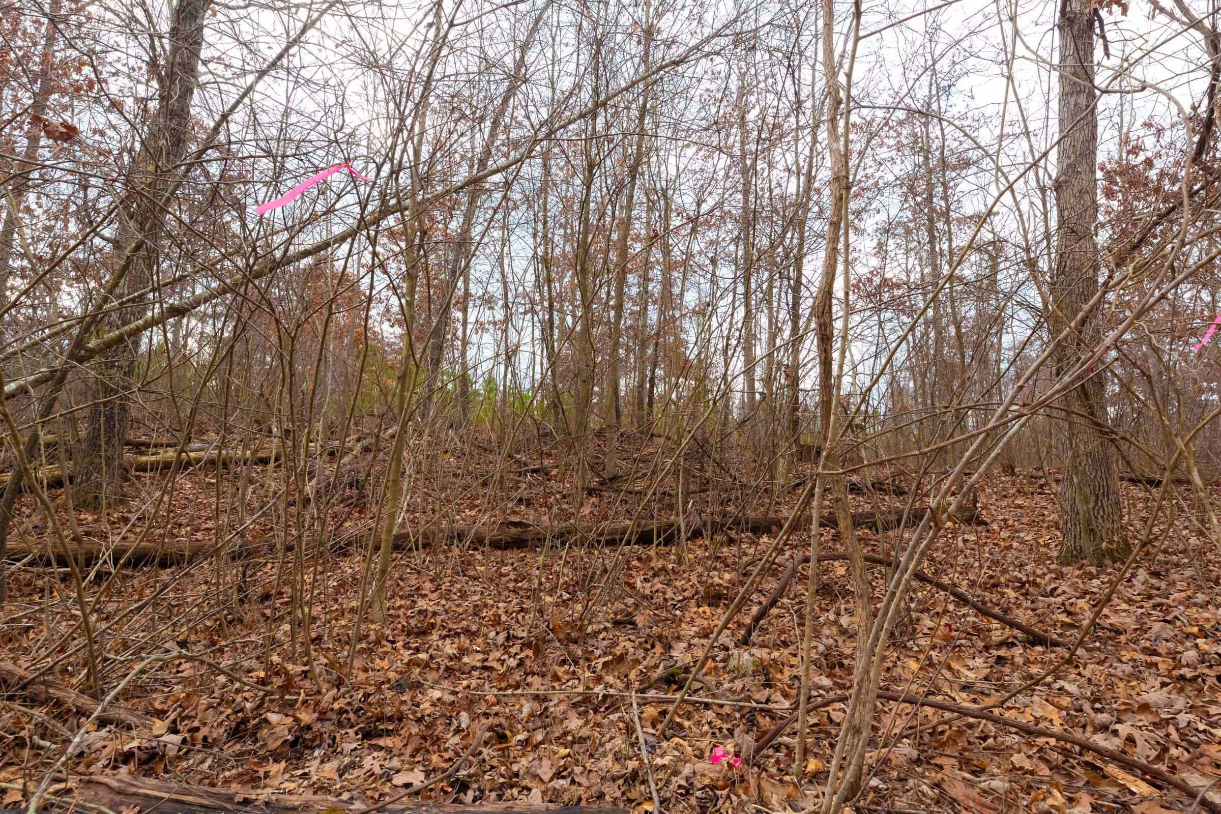 Windy Ridge Tract 9 photo 5