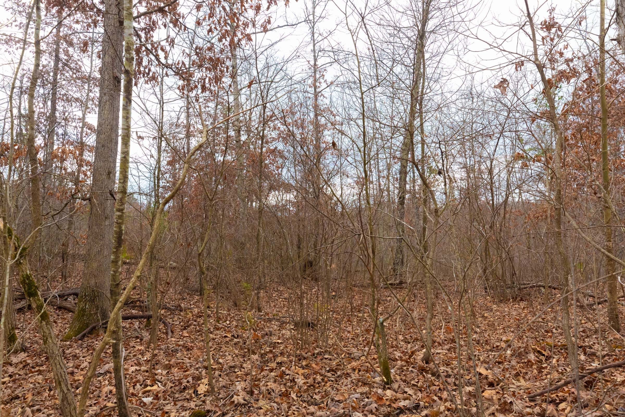 Windy Ridge Tract 9 photo 7