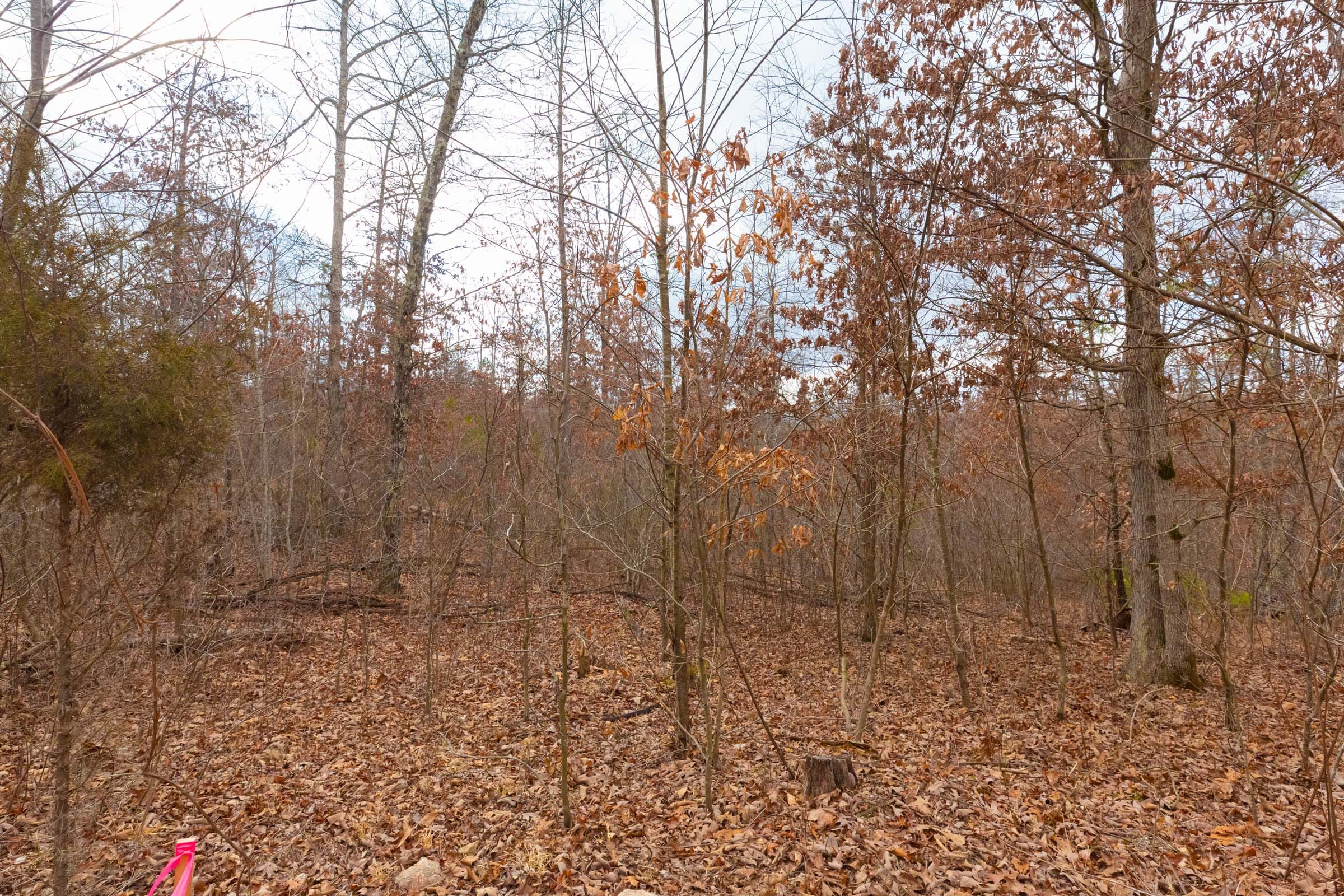 Windy Ridge Tract 9 photo 9