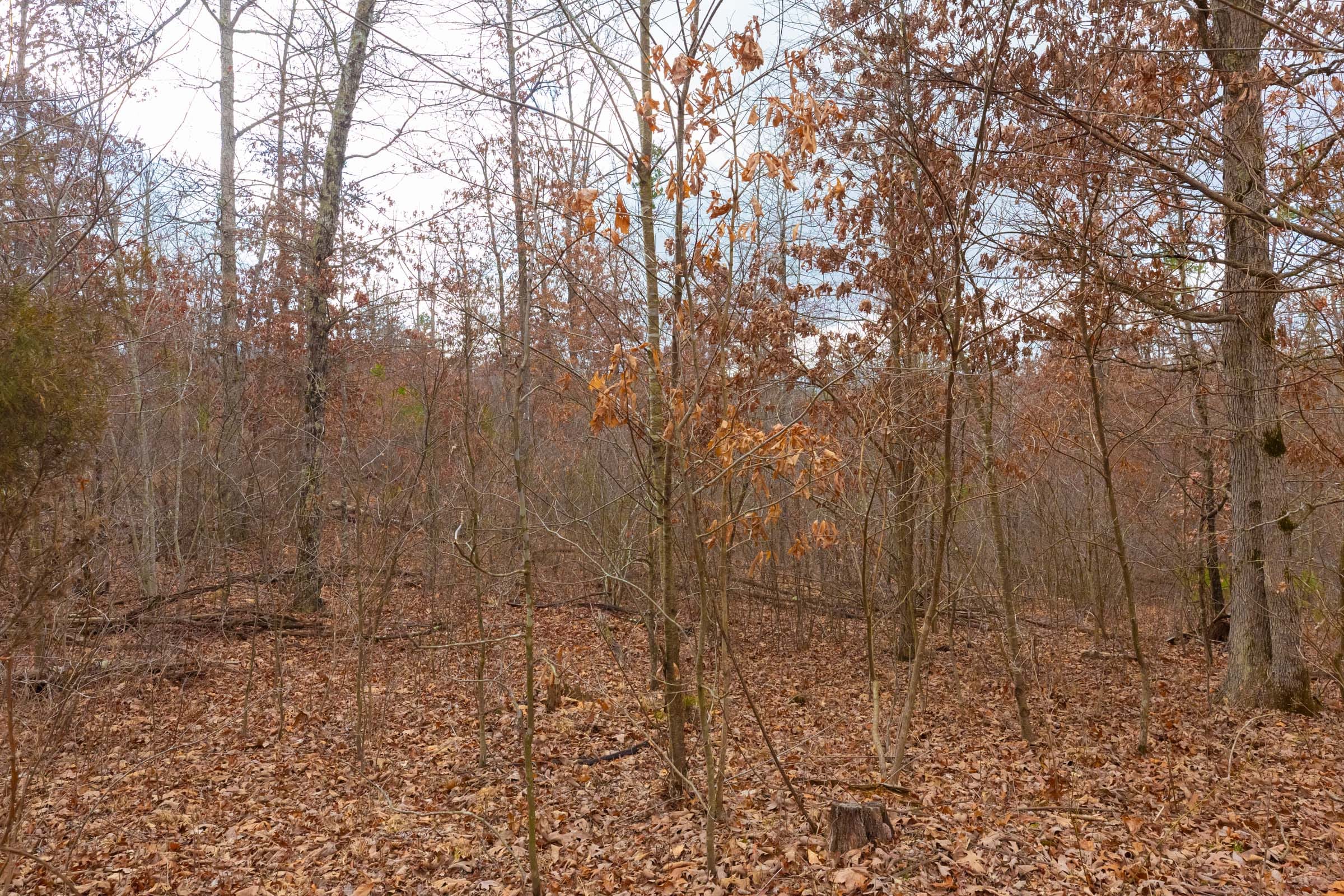Windy Ridge Tract 9 photo 11