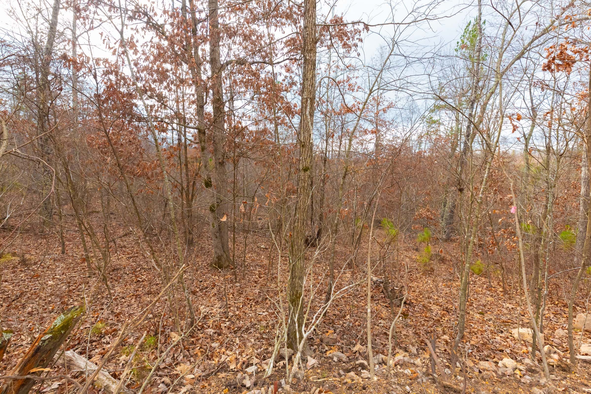 Windy Ridge Tract 9 photo 13