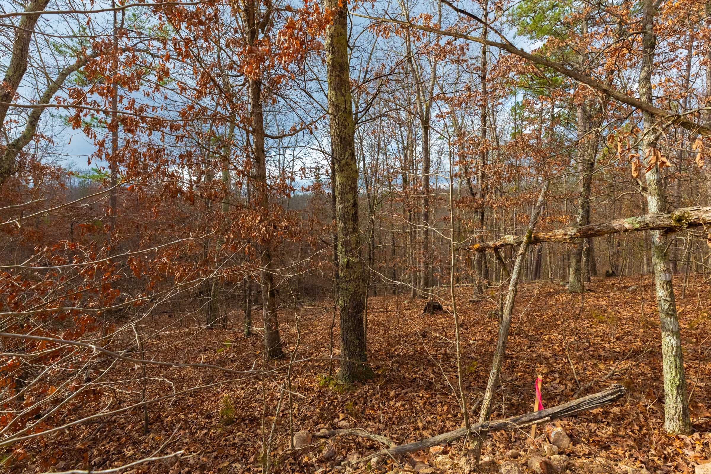 Windy Ridge Tract 9 photo 10