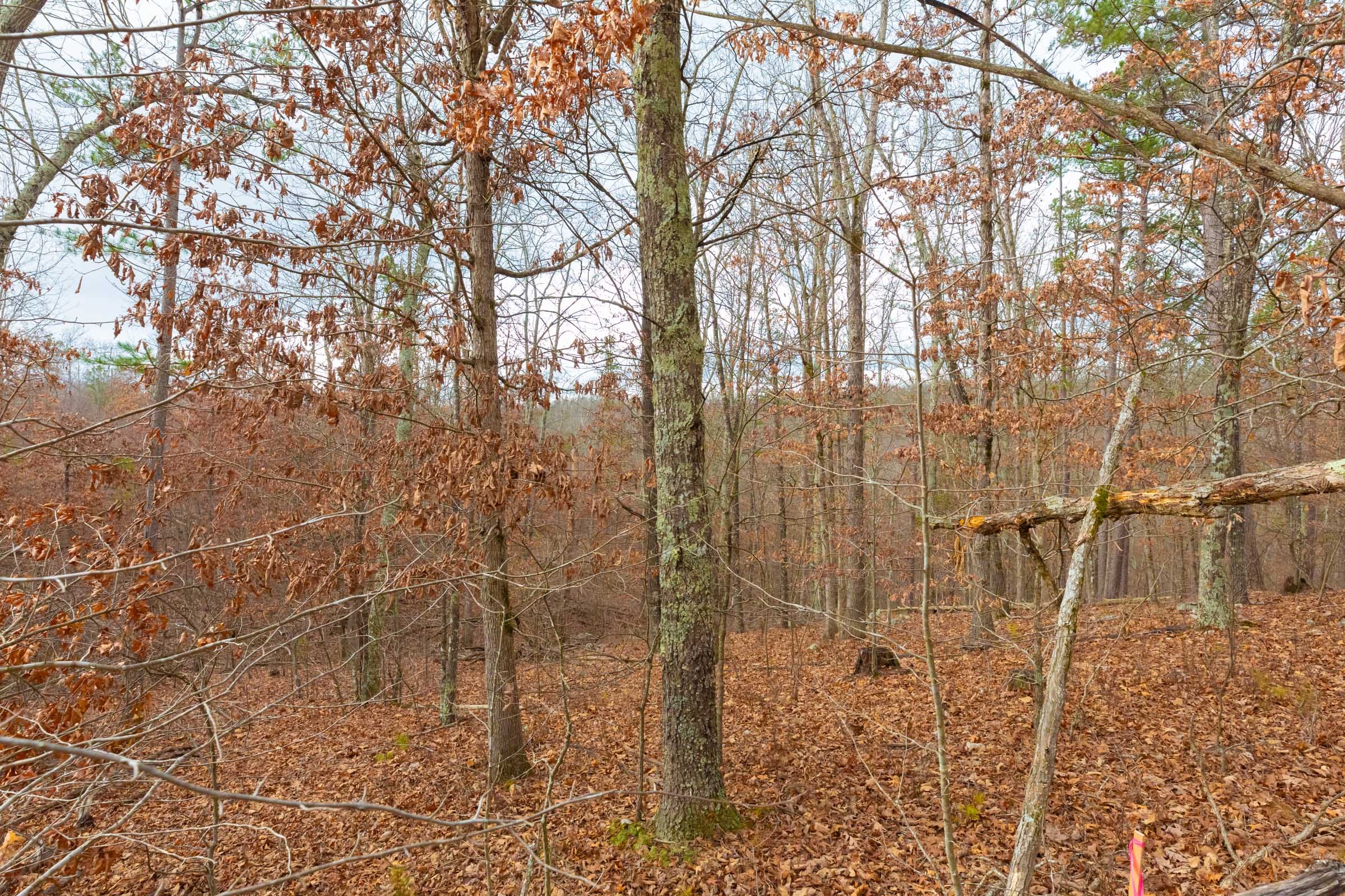 Windy Ridge Tract 9 photo 12
