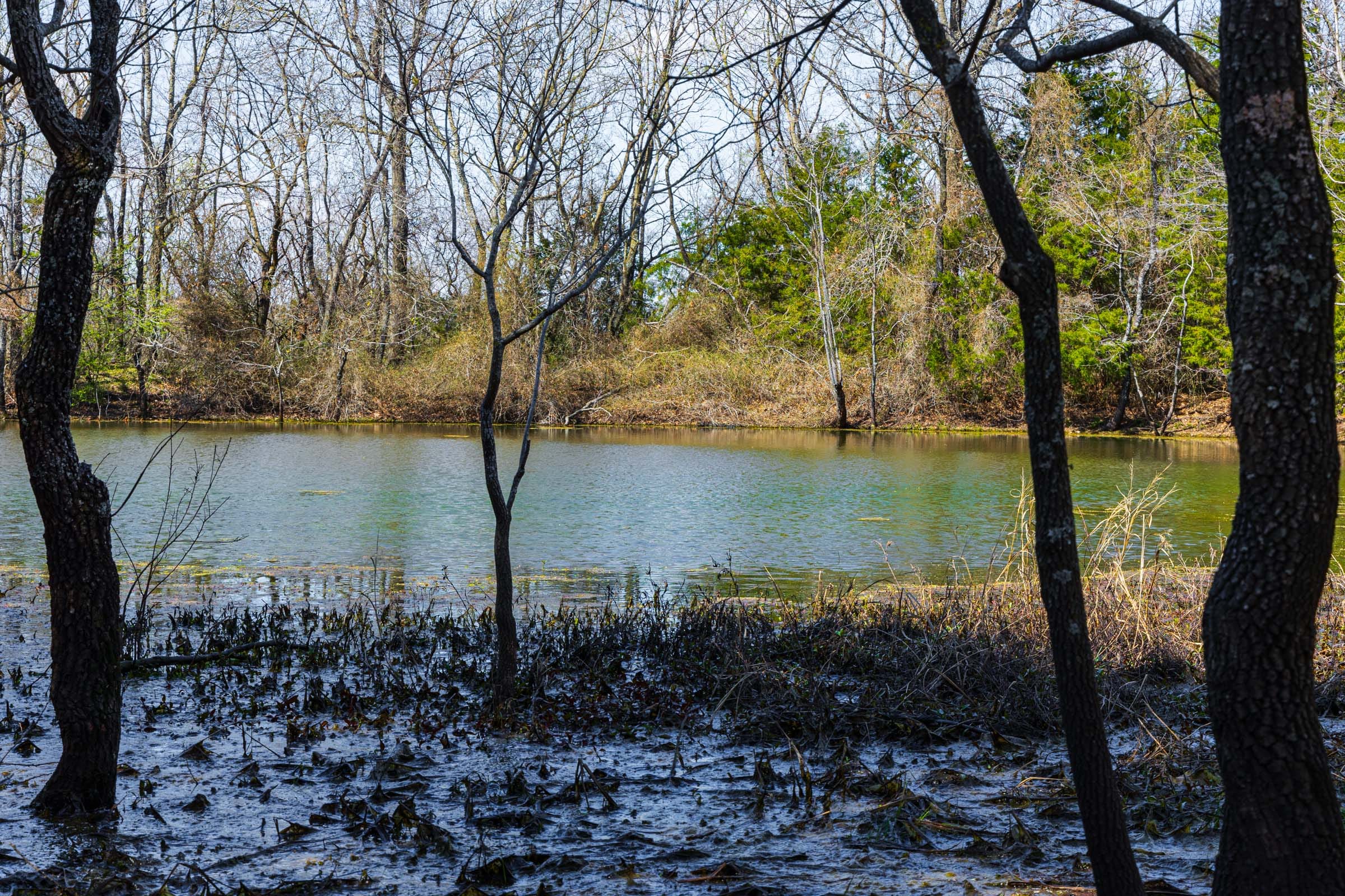 Reserves At Cattail Cove Phase I Tract 31 photo 13