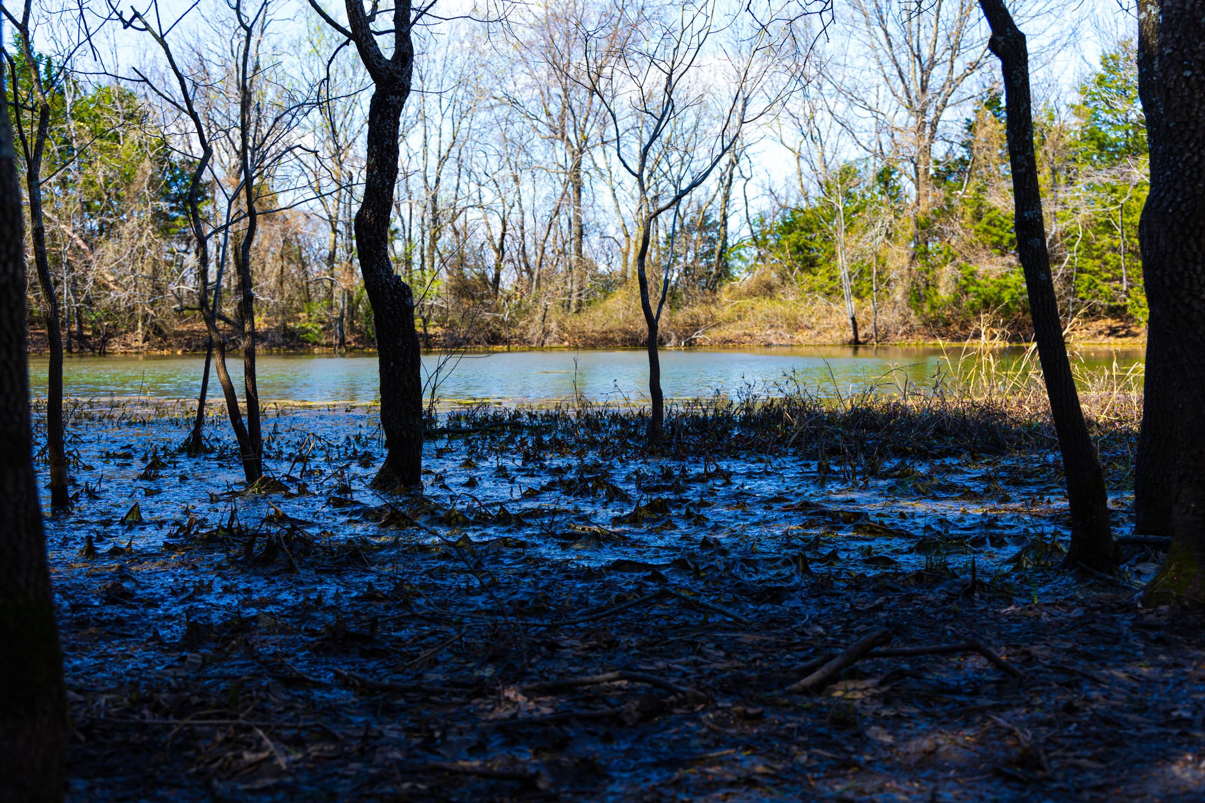 Reserves At Cattail Cove Phase I Tract 31 photo 14