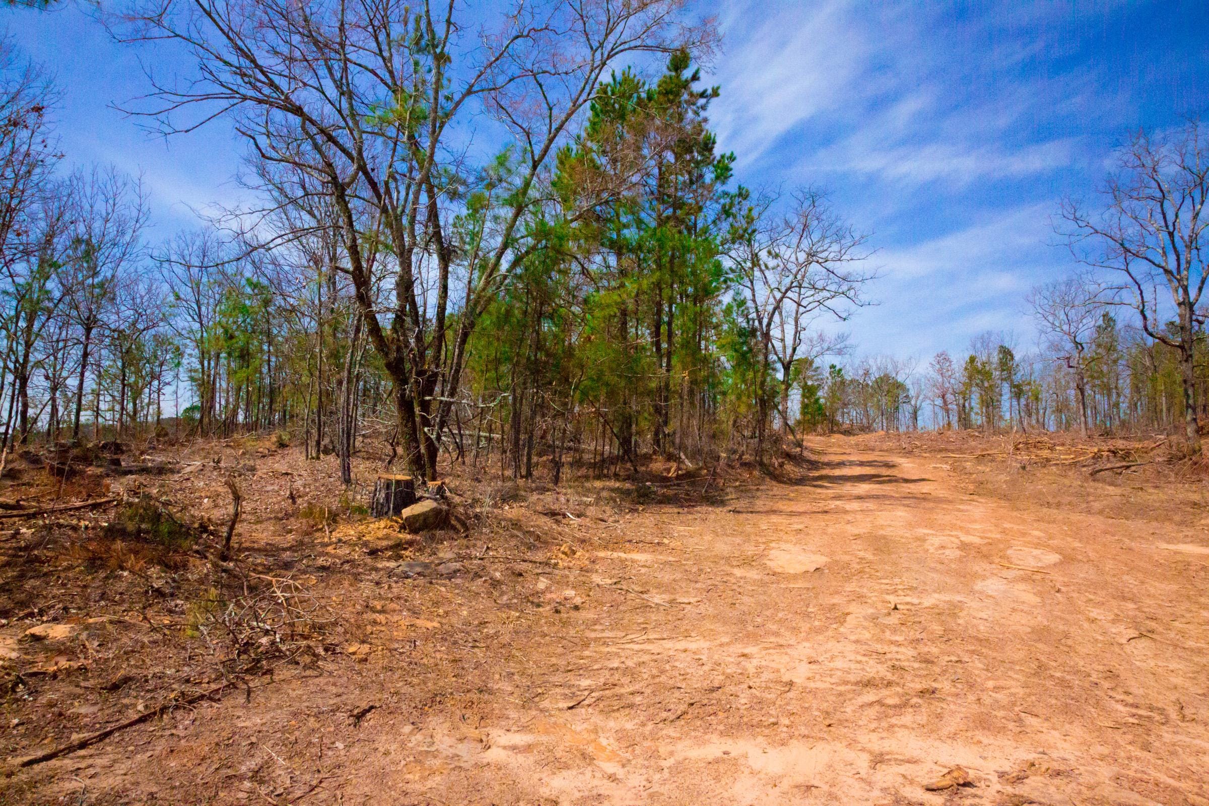 Stone Creek Phase II Tract 139 photo 2