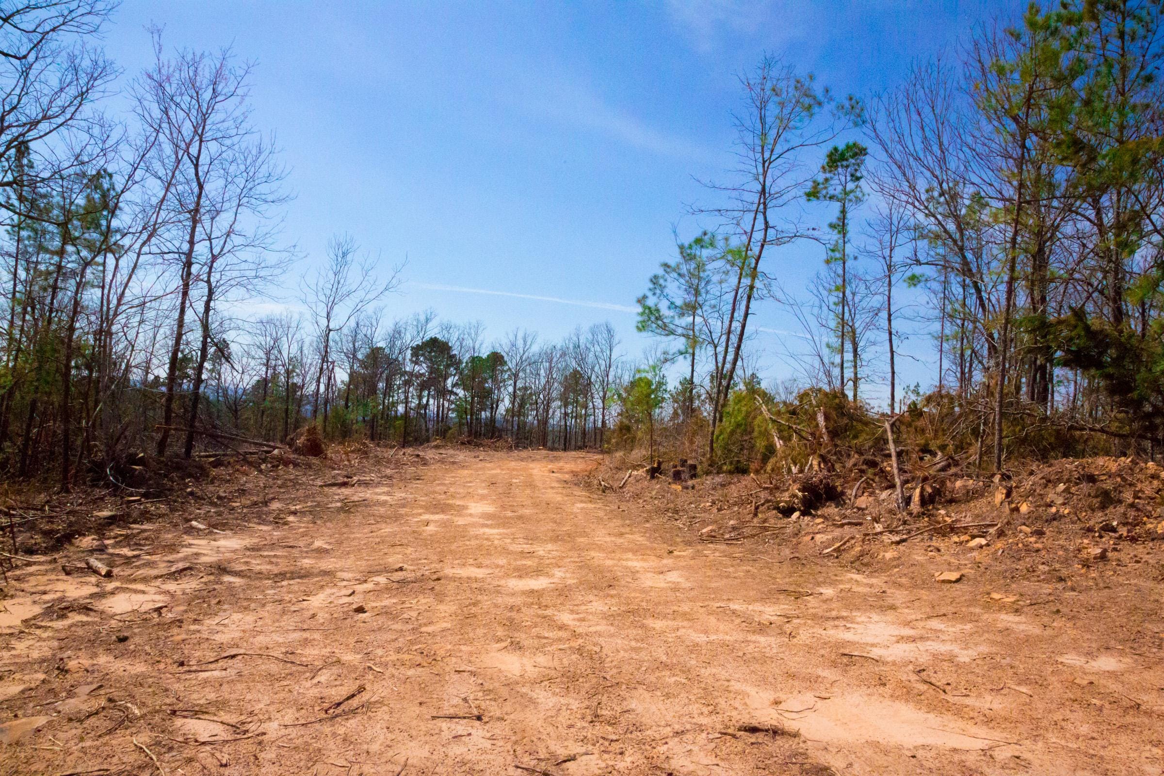 Stone Creek Phase II Tract 139 photo 3
