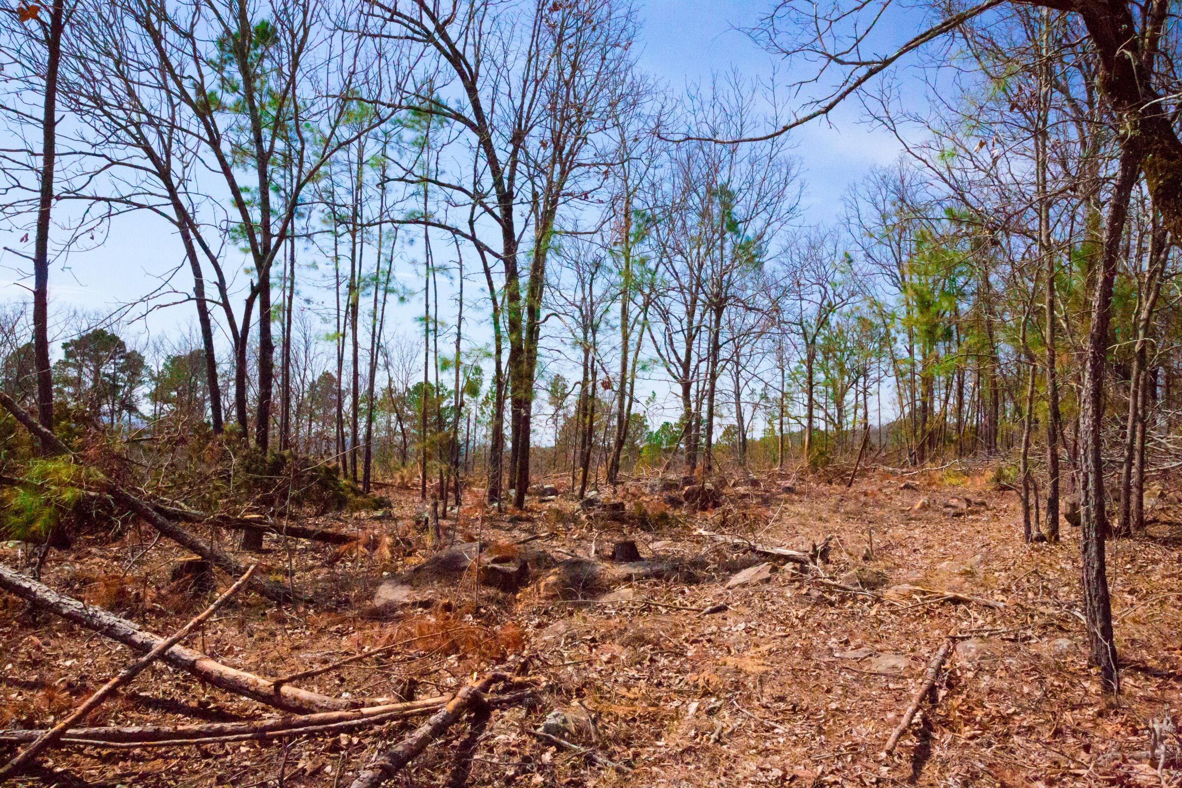 Stone Creek Phase II Tract 139 photo 4