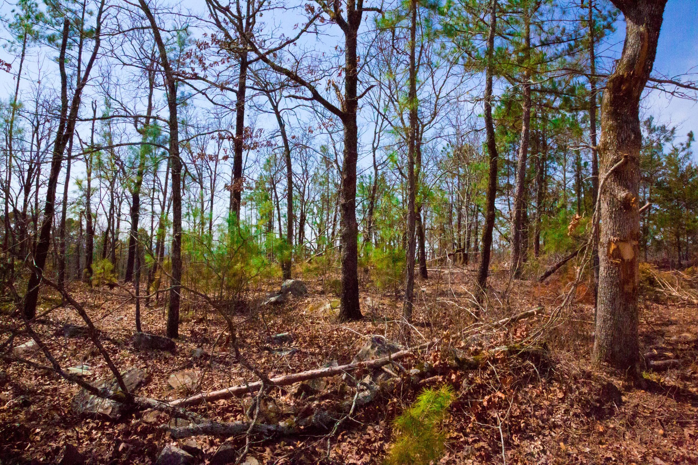 Stone Creek Phase II Tract 139 photo 6