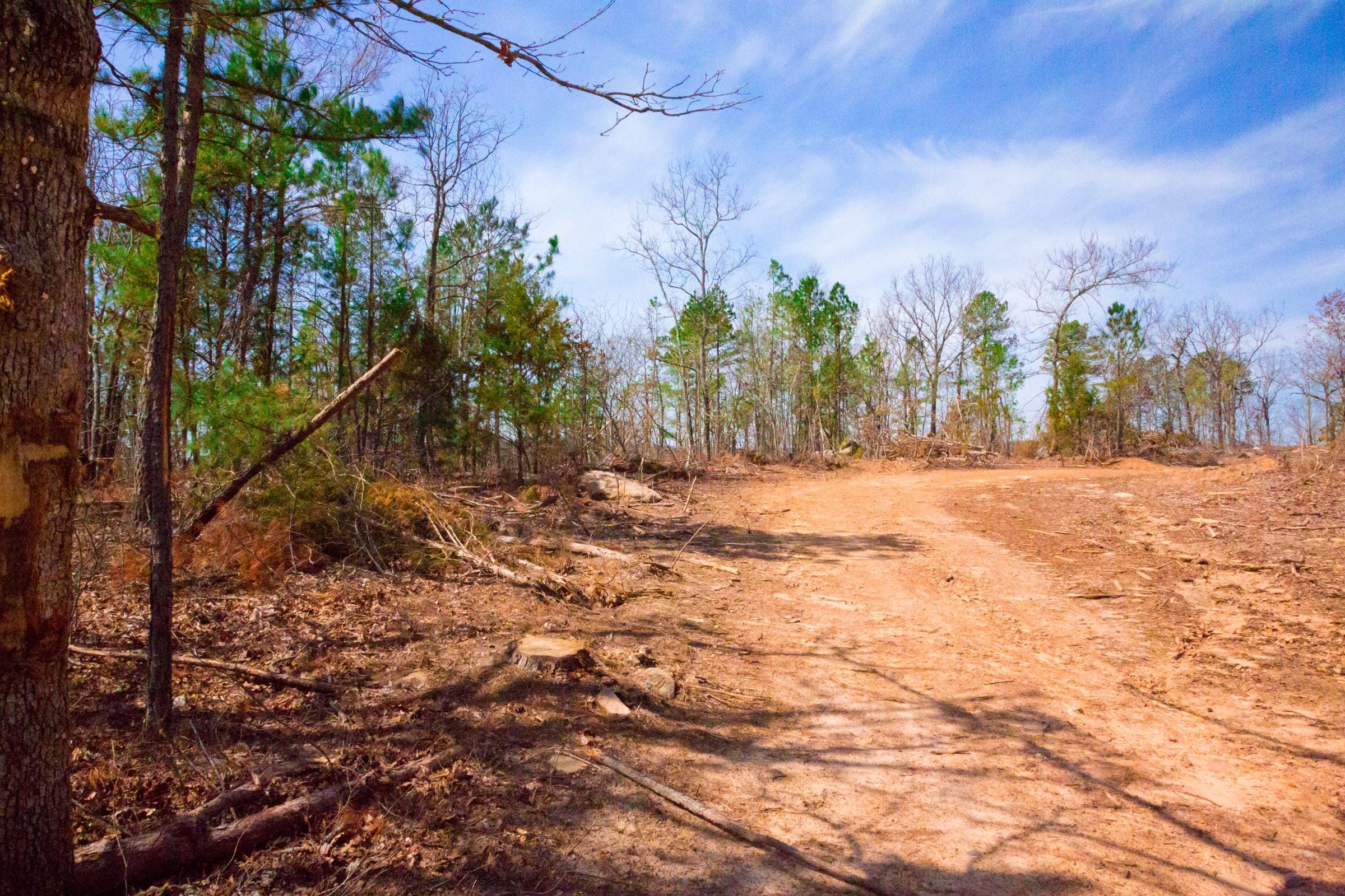 Stone Creek Phase II Tract 139 photo 7