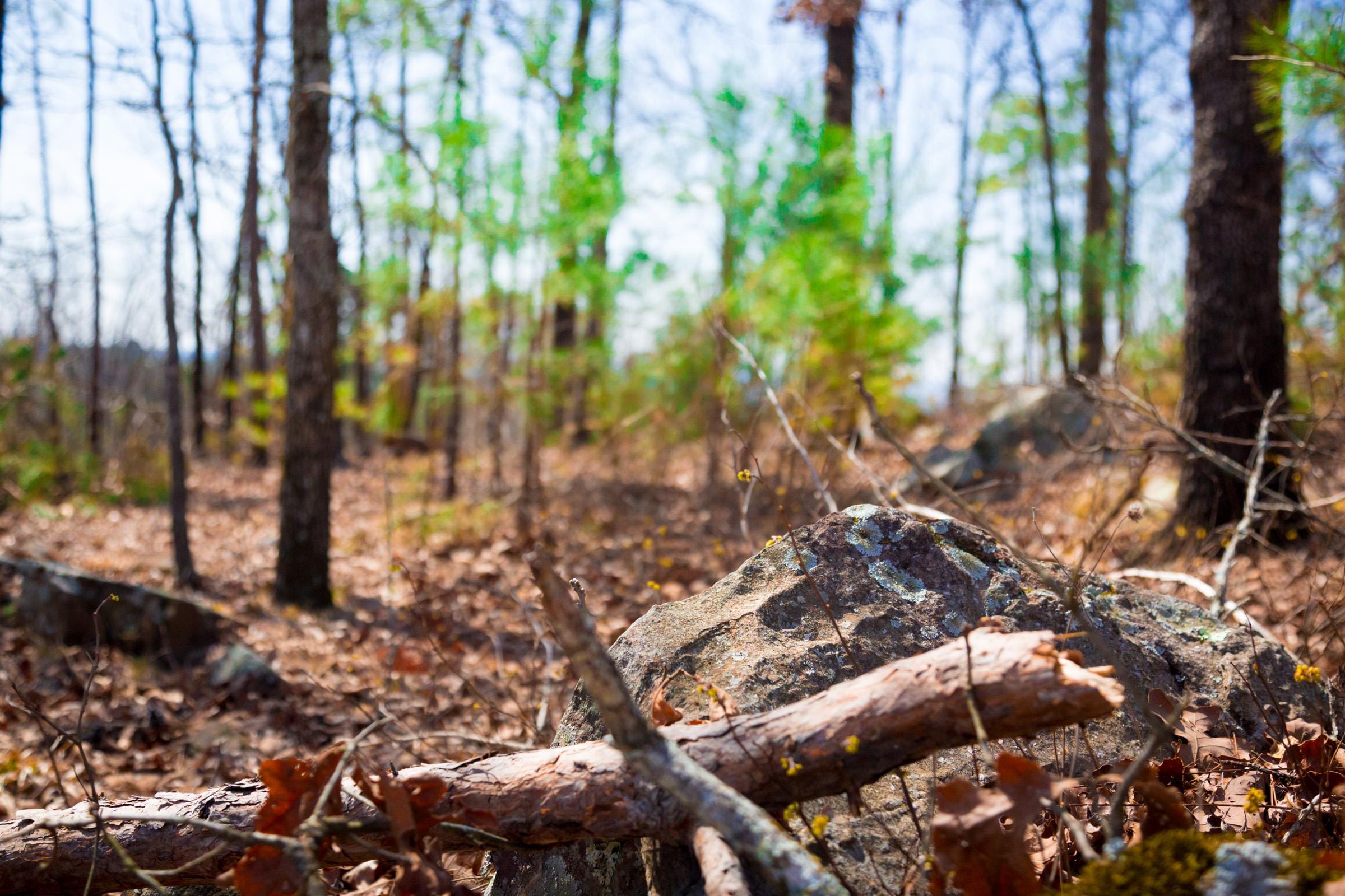 Stone Creek Phase II Tract 139 photo 8
